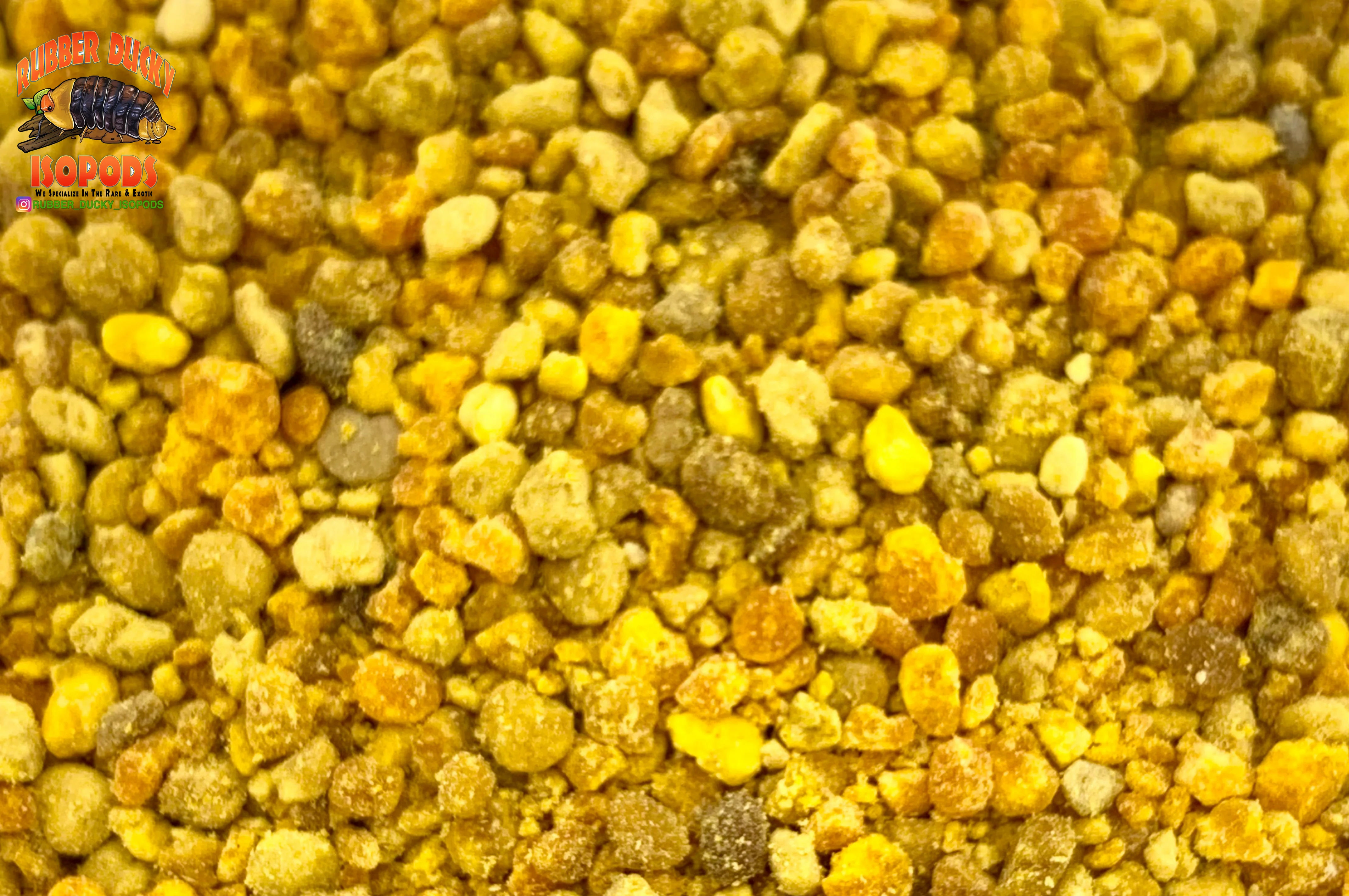 Bee Nectar Pod Protector © (Nutritional RAW American Bee Pollen) - Image 4