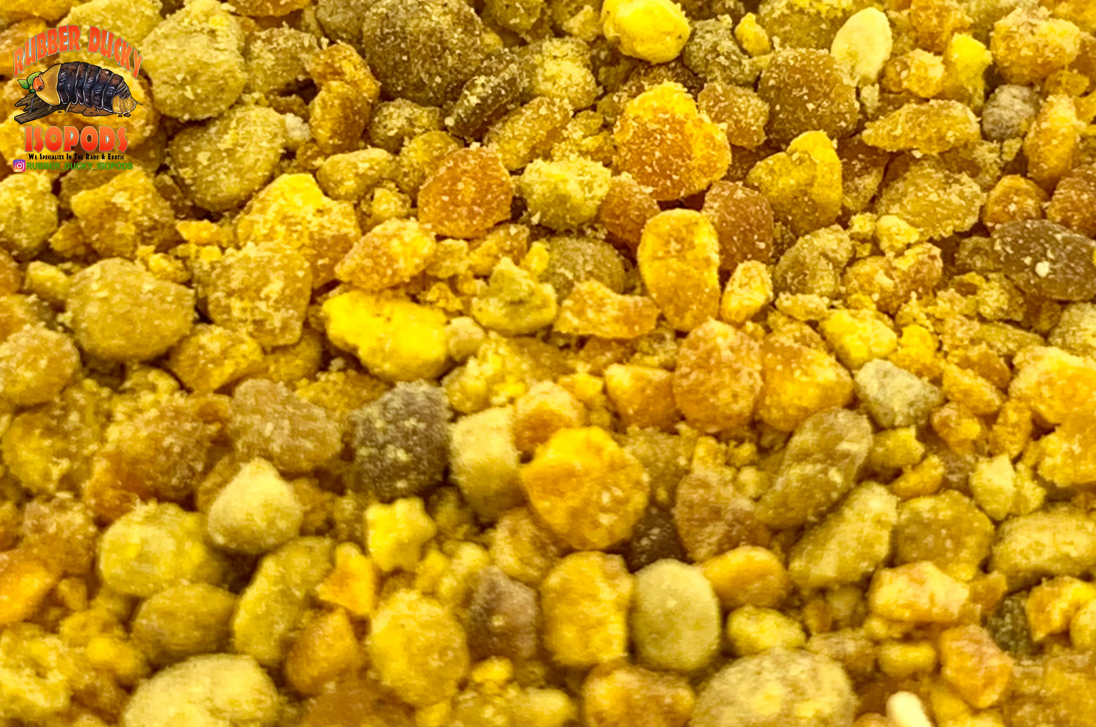 Bee Nectar Pod Protector © (Nutritional RAW American Bee Pollen) - Image 5