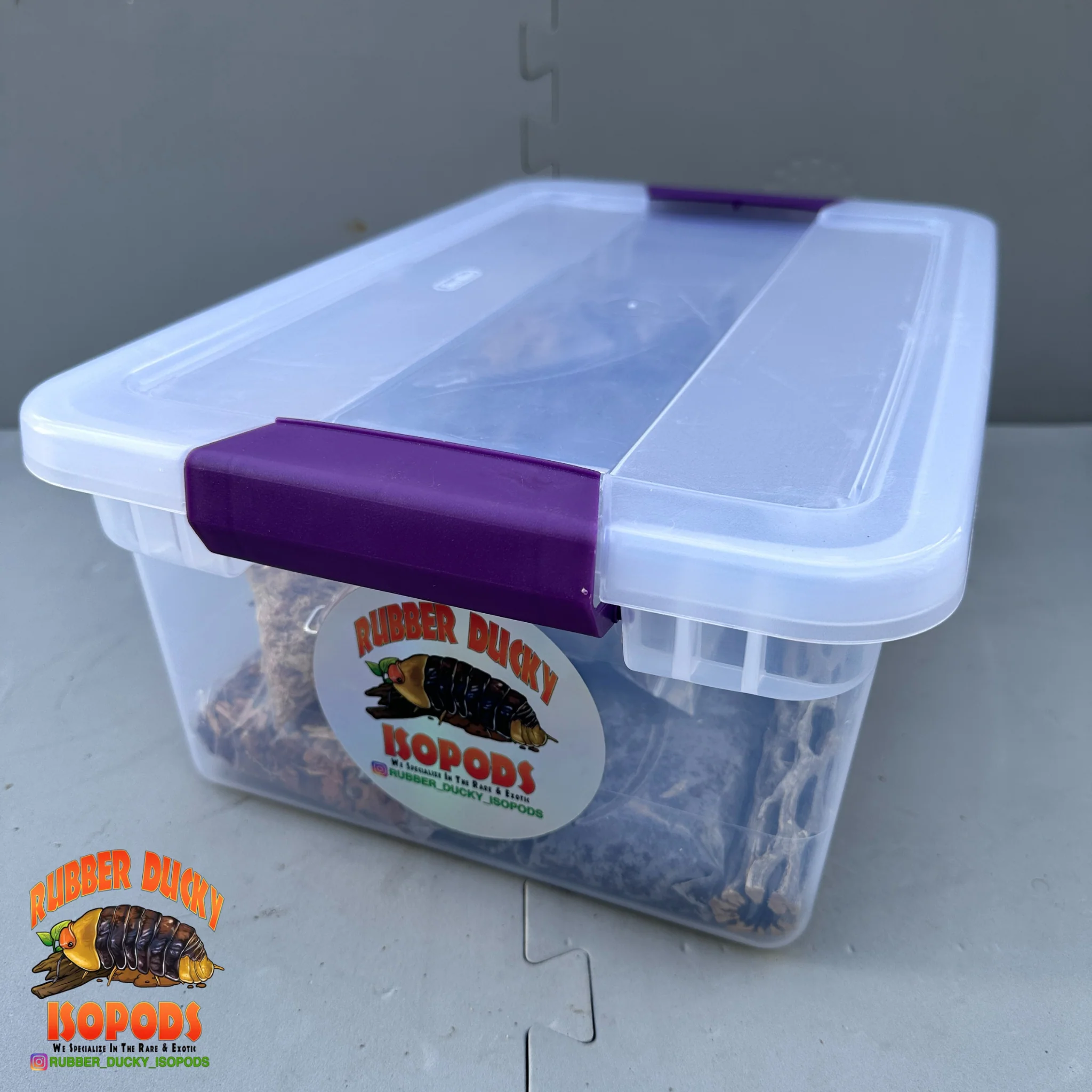 Bioactive Breeder Kit – Soil Setup for Isopod Colonies - FREE Shipping - Image 2