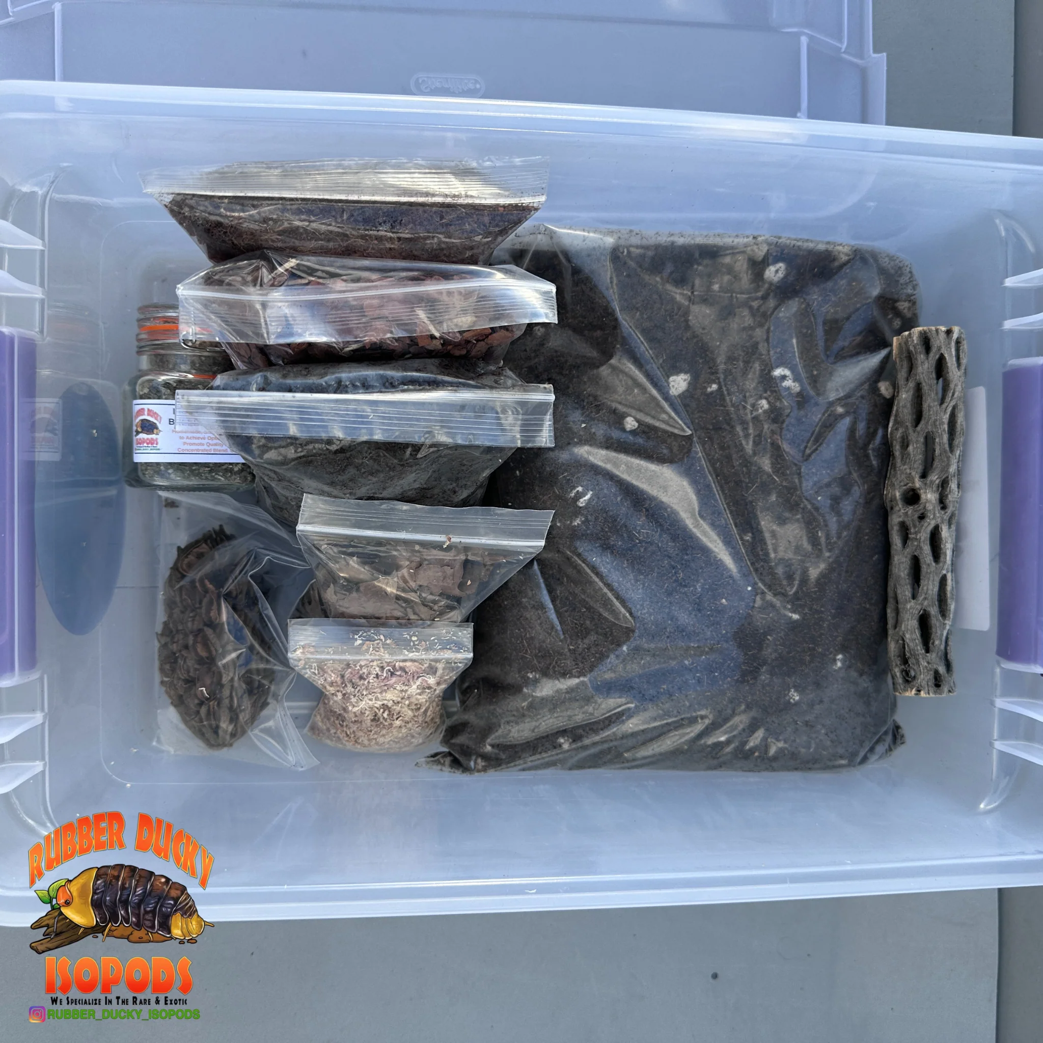 Bioactive Breeder Kit – Soil Setup for Isopod Colonies - FREE Shipping - Image 3