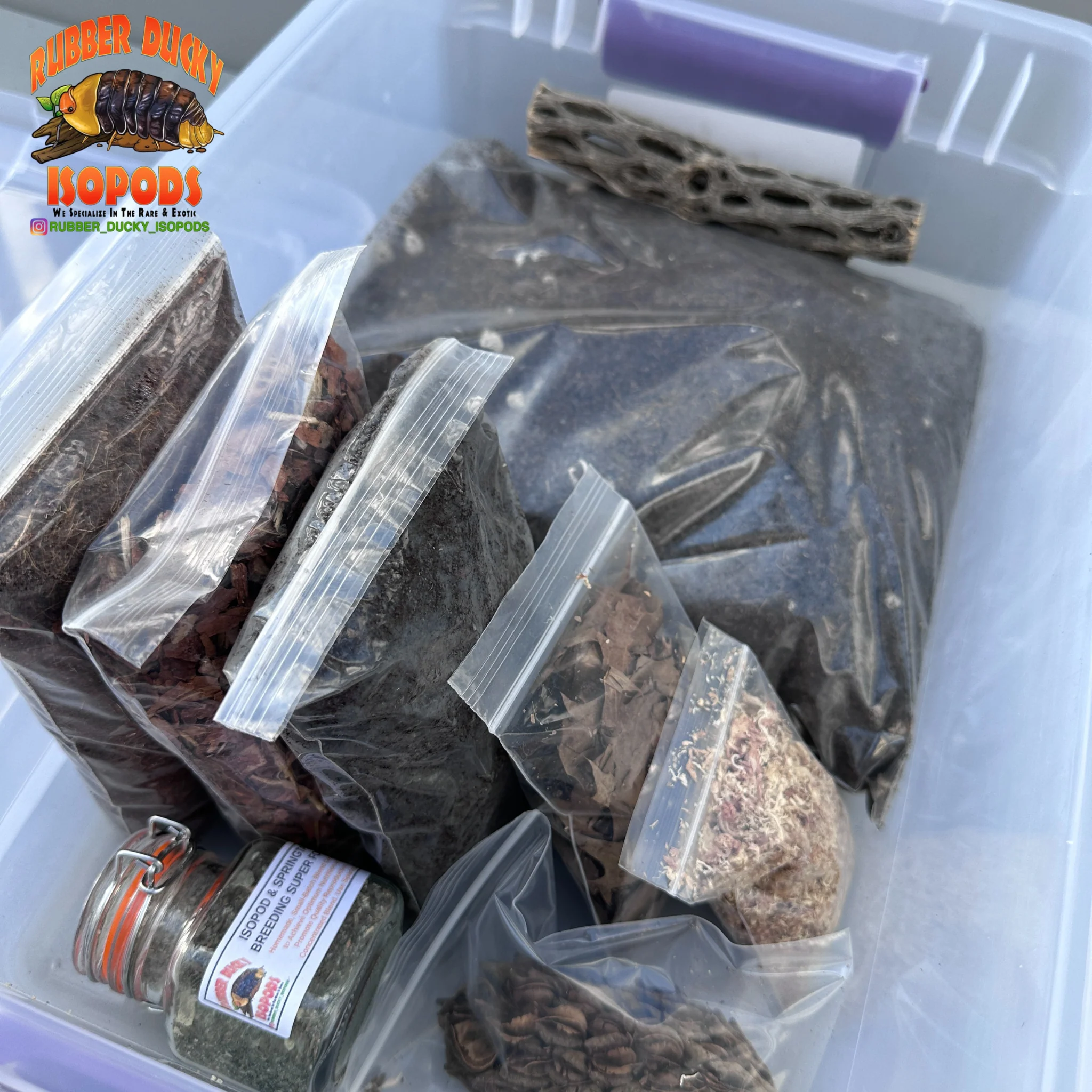 Bioactive Breeder Kit – Soil Setup for Isopod Colonies - FREE Shipping - Image 4