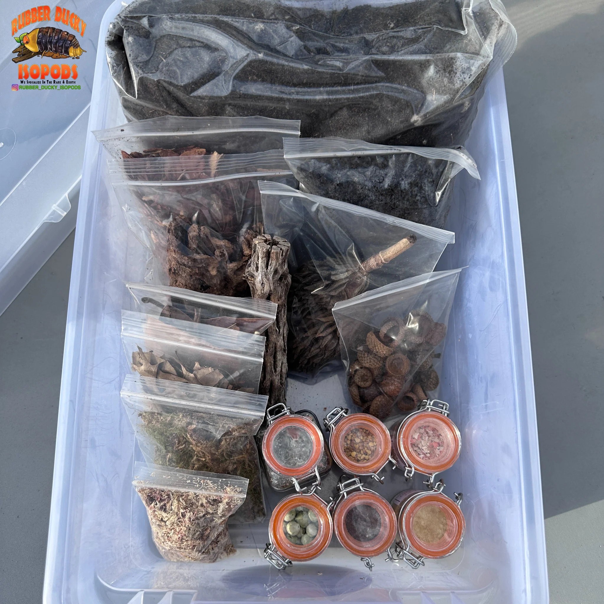 Bioactive Complete Isopod Habitat Kit - FREE Shipping - Image 3