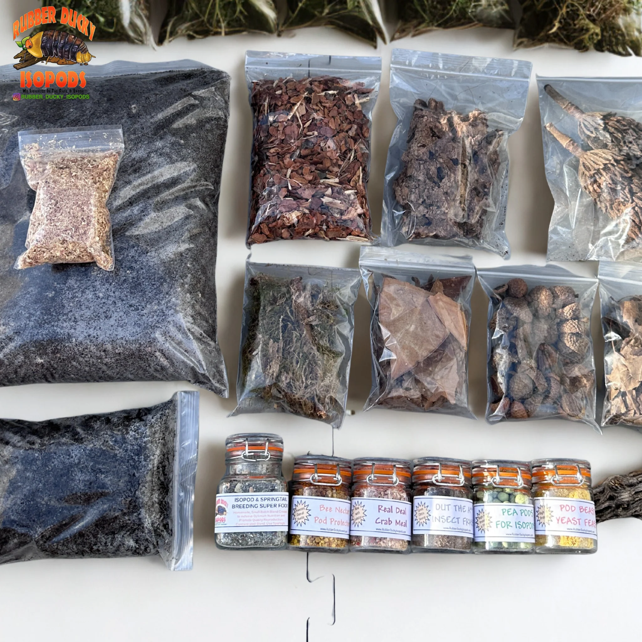 Bioactive Complete Isopod Habitat Kit - FREE Shipping - Image 4