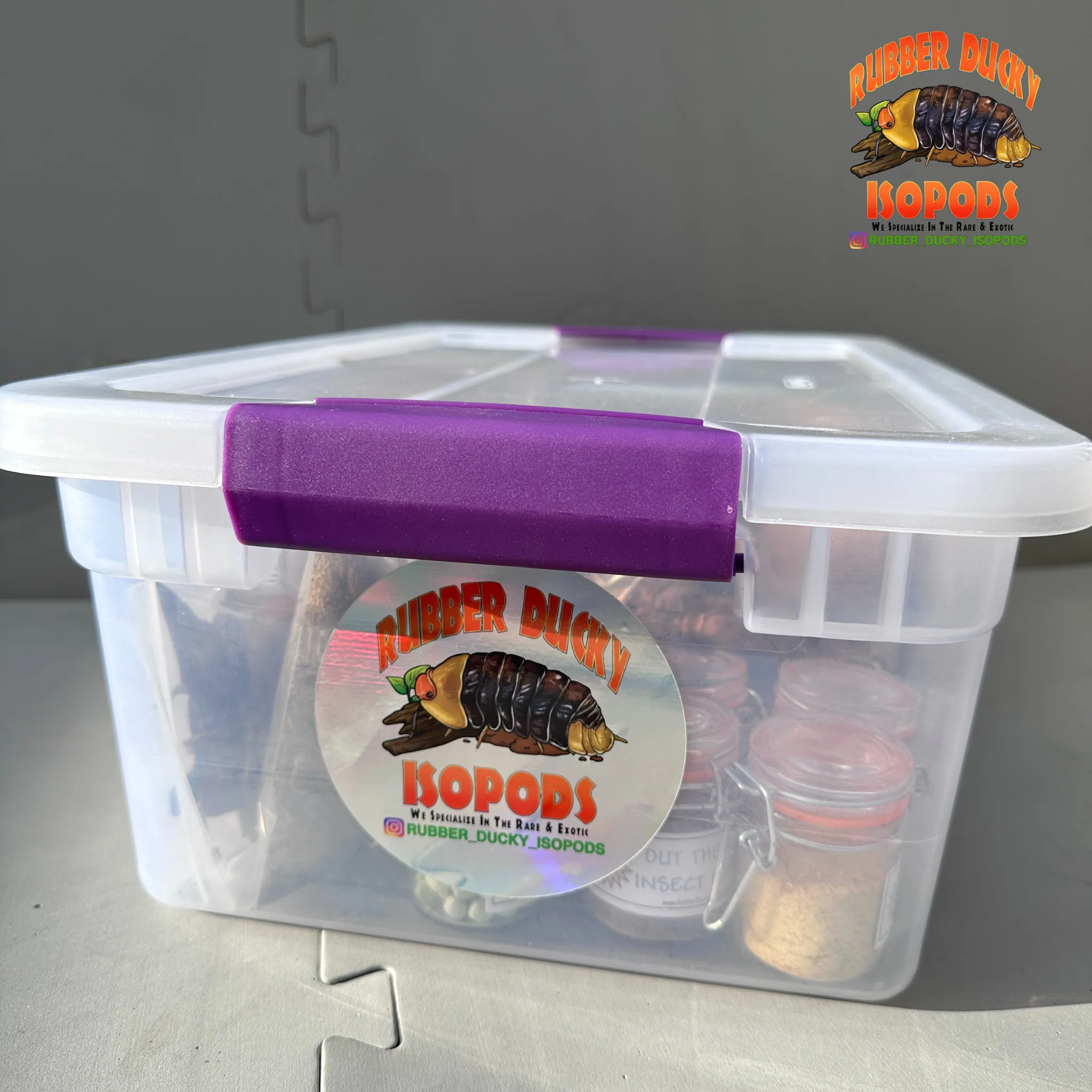 Bioactive Complete Isopod Habitat Kit - FREE Shipping - Image 5