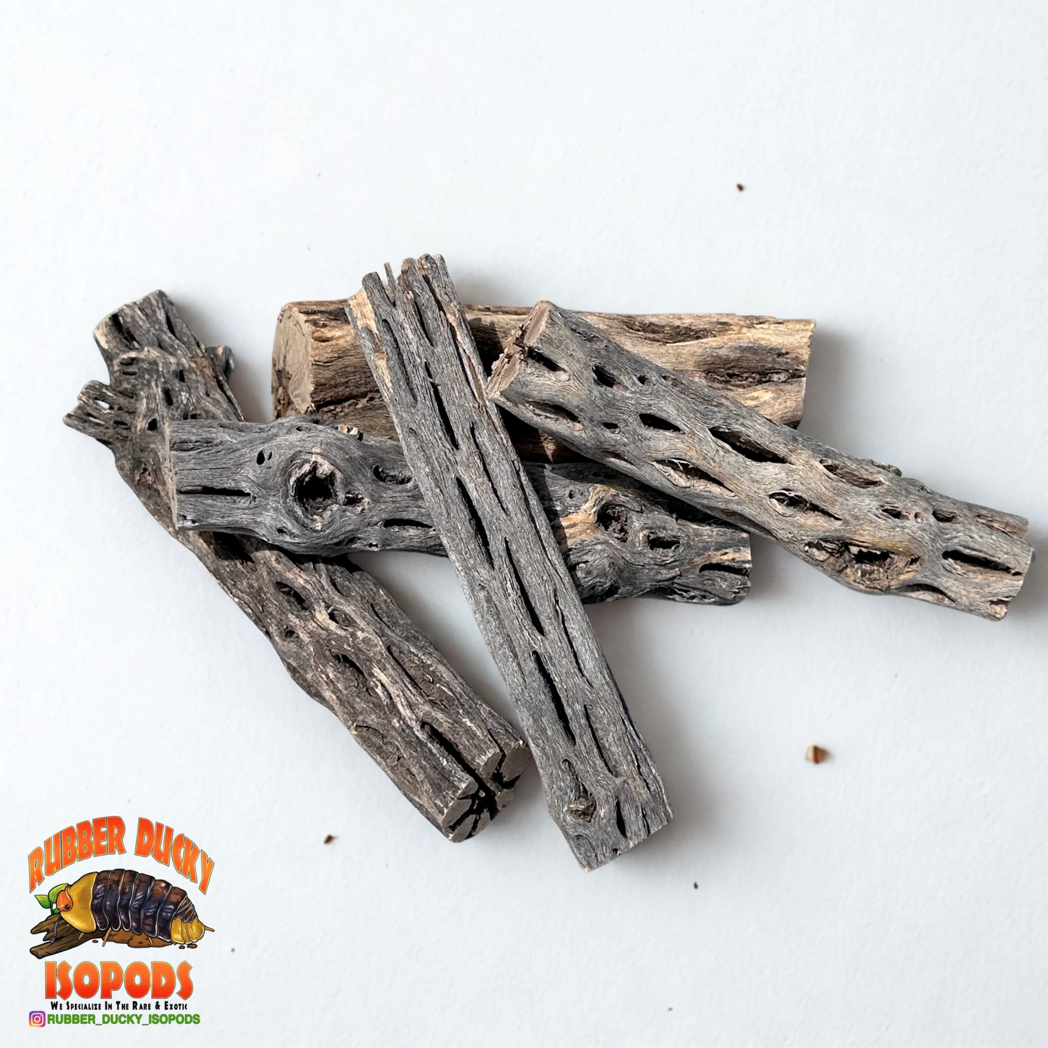 Cholla Wood – Natural Hides for Isopods, Reptiles & Bioactive Setups - Image 2