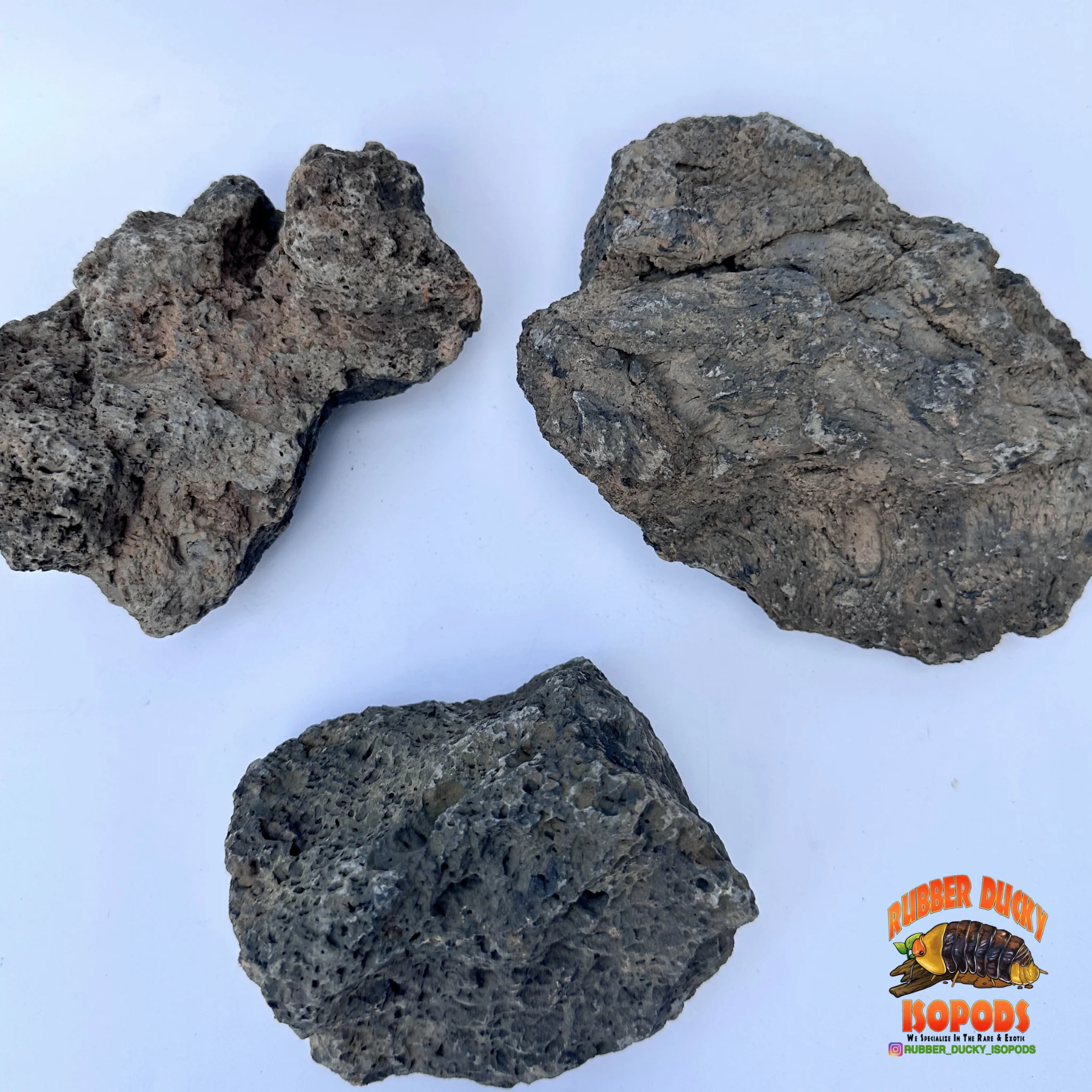 Icelandic Lava Rock – Bioactive-Ready Hardscape (1 lb / 3 lb) - Image 2