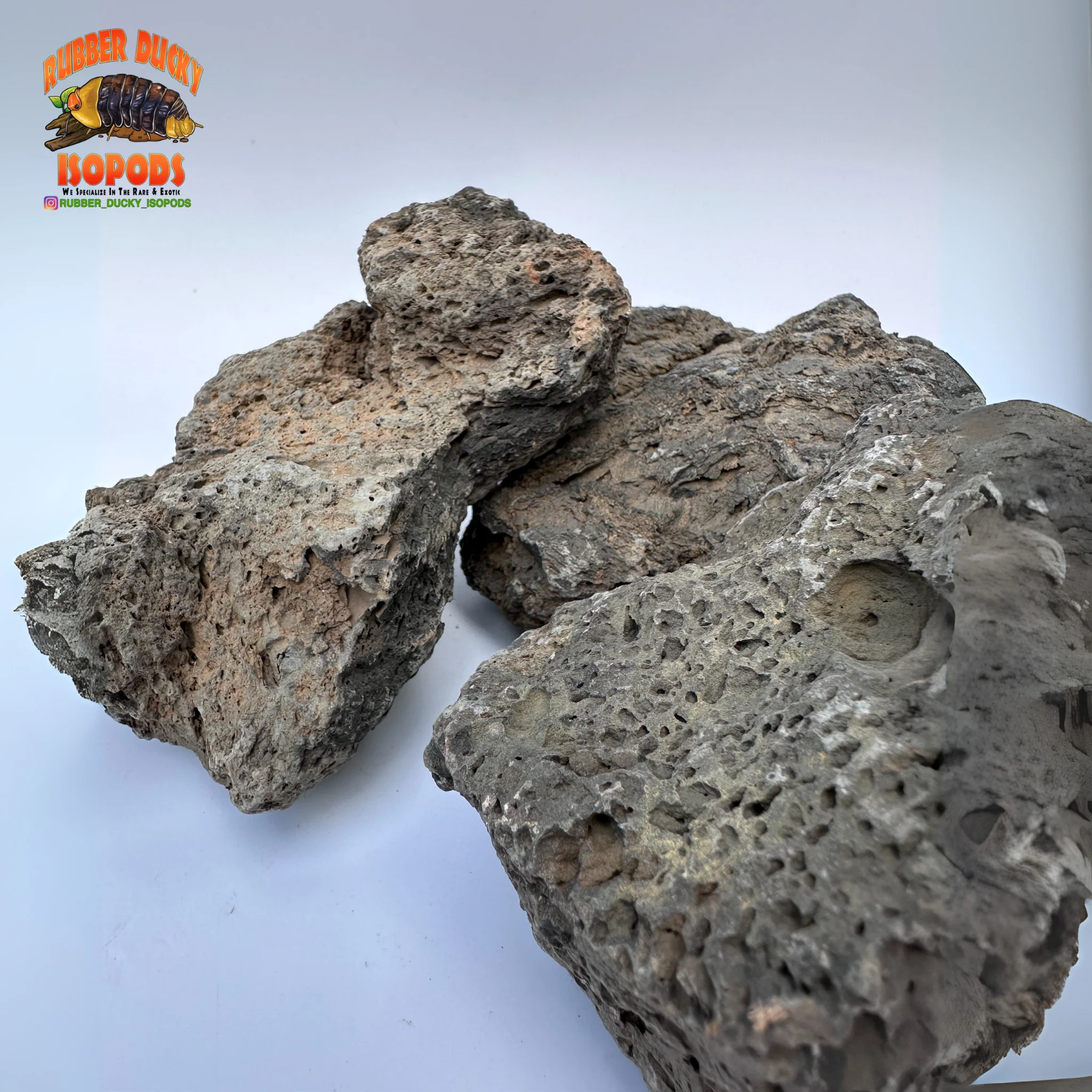 Icelandic Lava Rock – Bioactive-Ready Hardscape (1 lb / 3 lb) - Image 3
