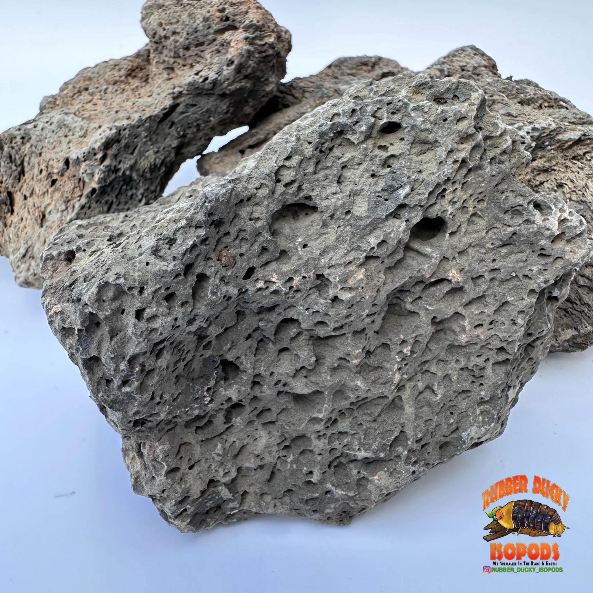 Icelandic Lava Rock – Bioactive-Ready Hardscape (1 lb / 3 lb) - Image 4