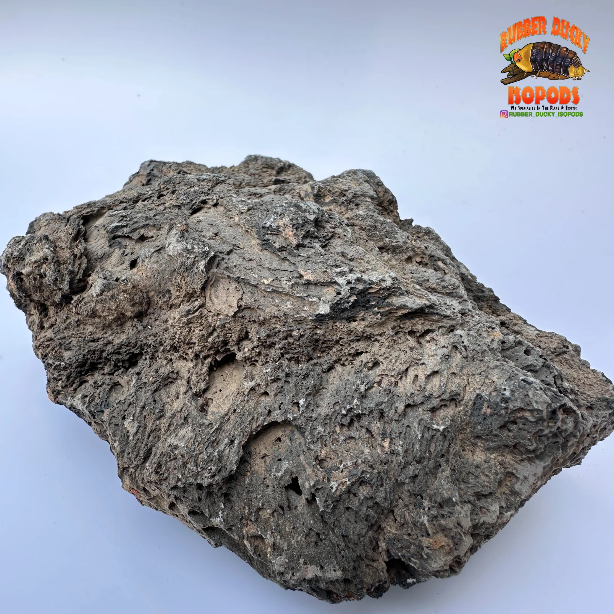 Icelandic Lava Rock – Bioactive-Ready Hardscape (1 lb / 3 lb) - Image 5