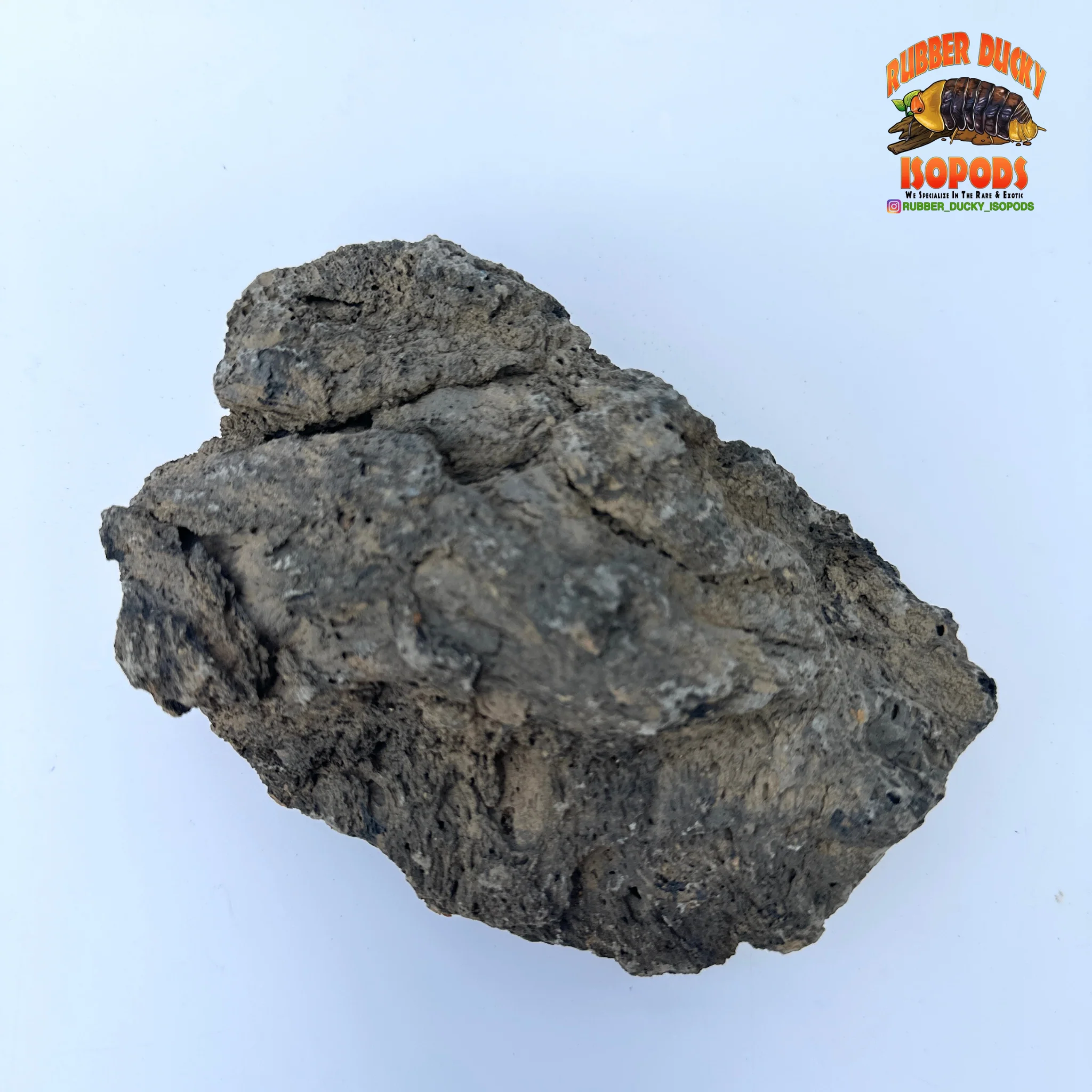 Icelandic Lava Rock – Bioactive-Ready Hardscape (1 lb / 3 lb) - Image 6