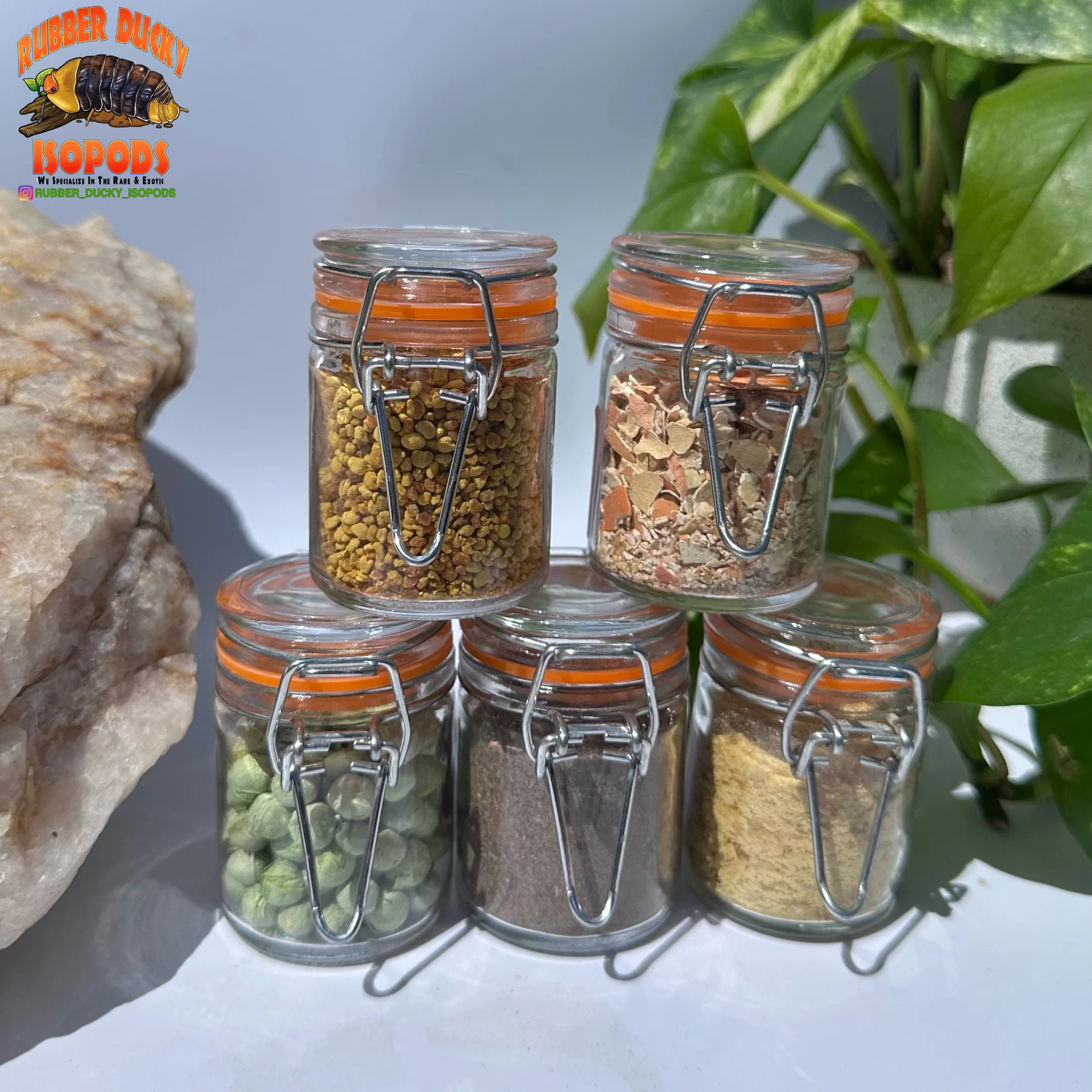 Isopod Food Discount Bundle Pack (SAVE MONEY Buy 4 Get 1 FREE) - Image 3
