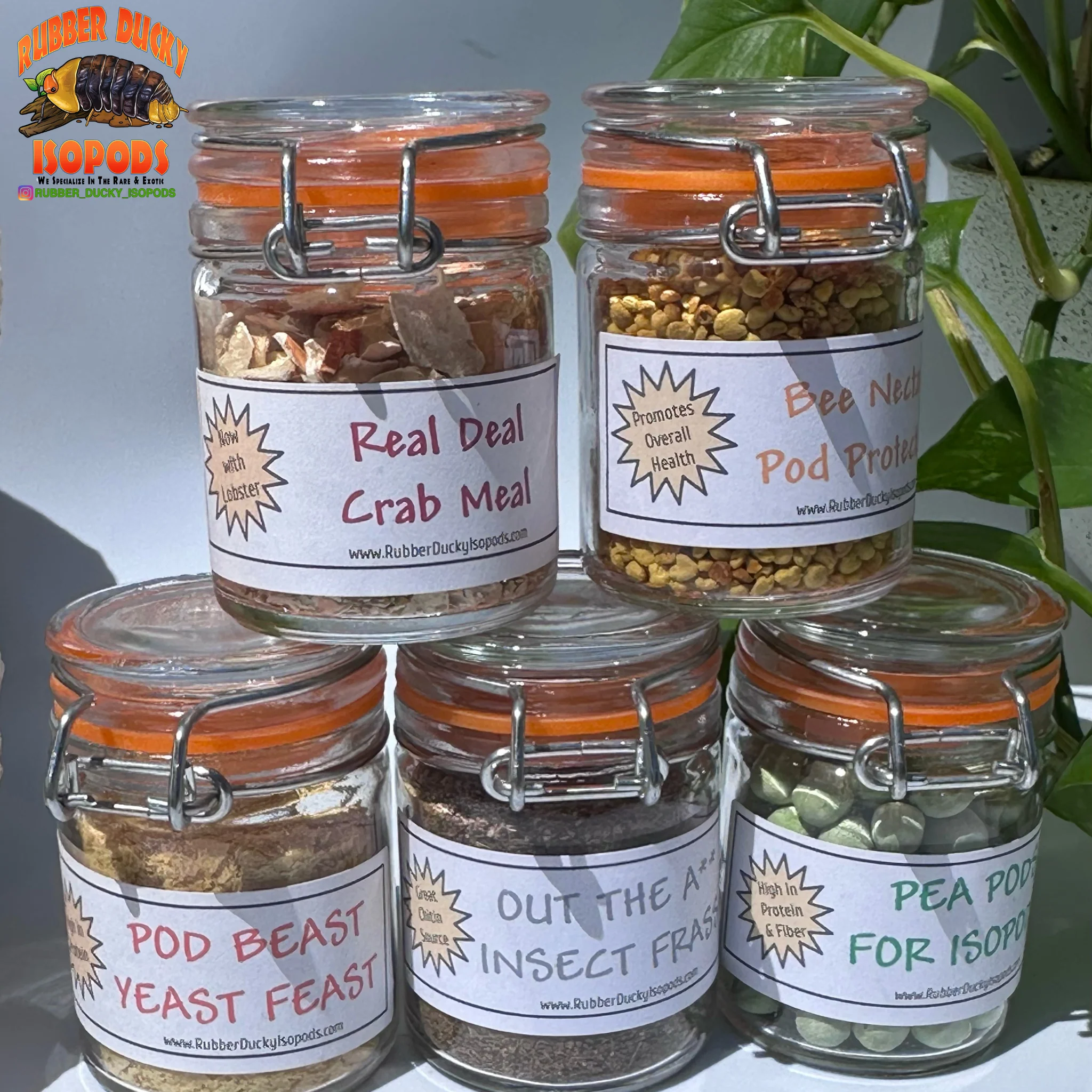 Isopod Food Discount Bundle Pack (SAVE MONEY Buy 4 Get 1 FREE) - Image 4