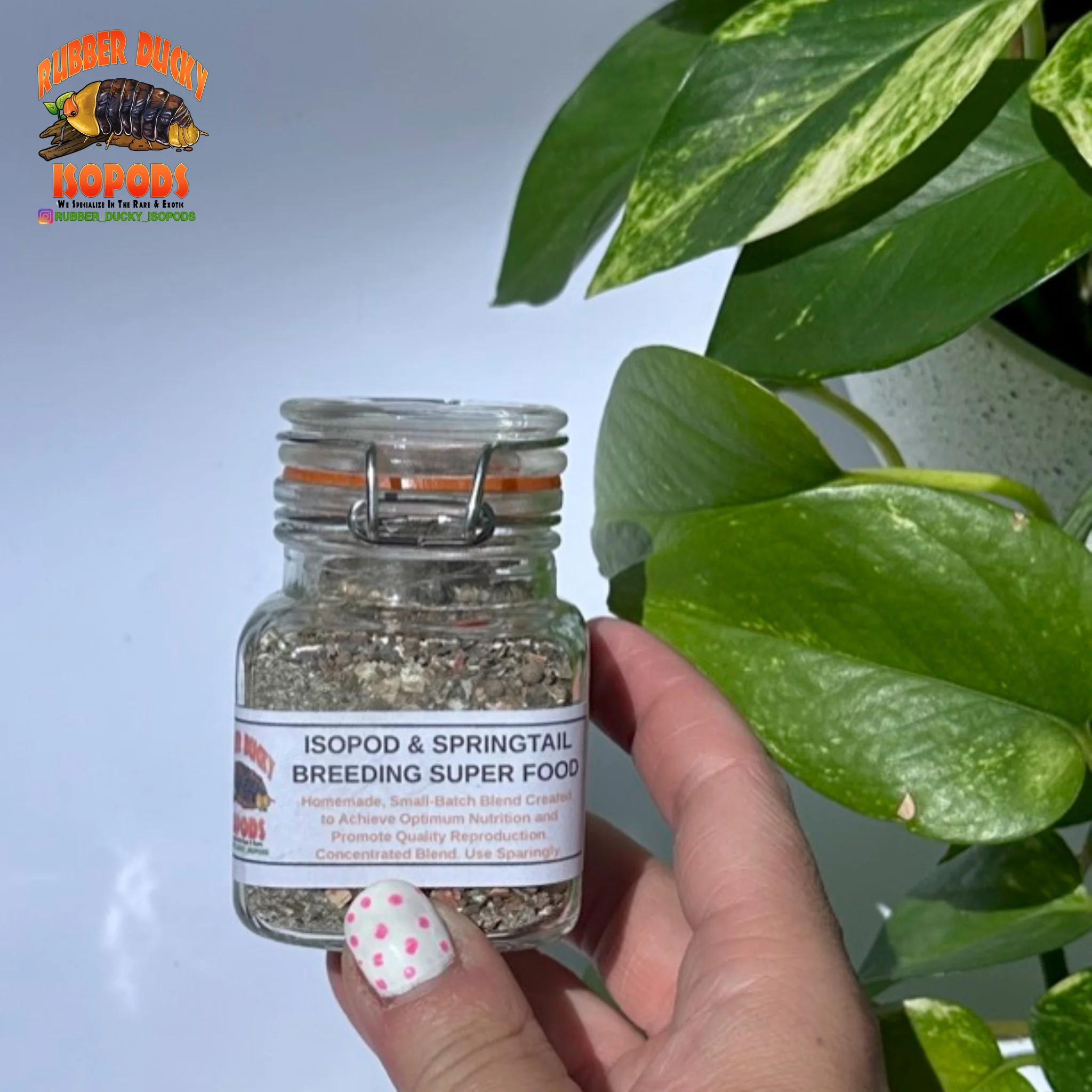 Breeding Superfood | Isopod & Springtail Nutrition - Image 4