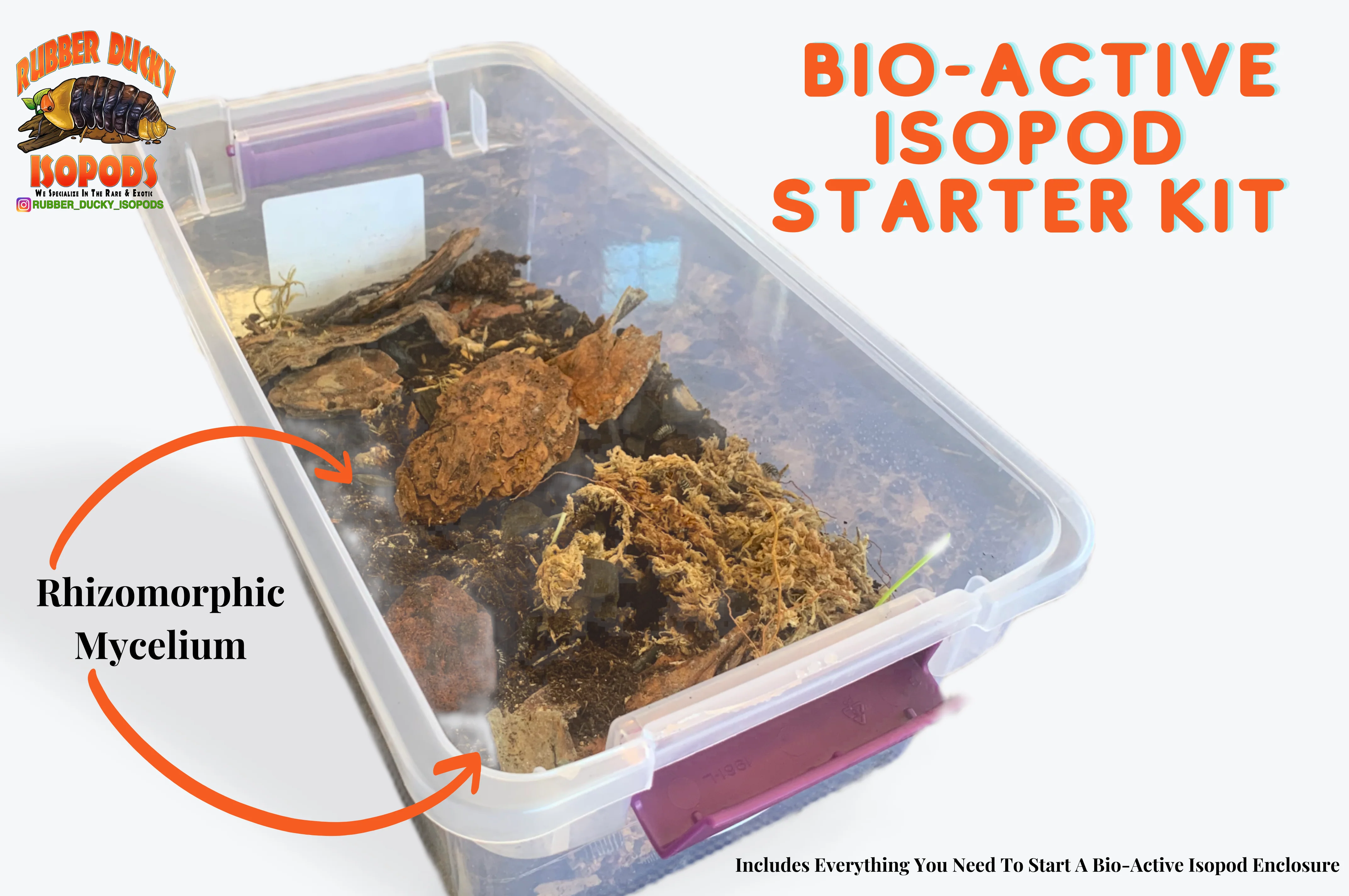 Bio-Active Isopod Soil Starter Kit Complete WITH Your Isopod Choice - Image 3