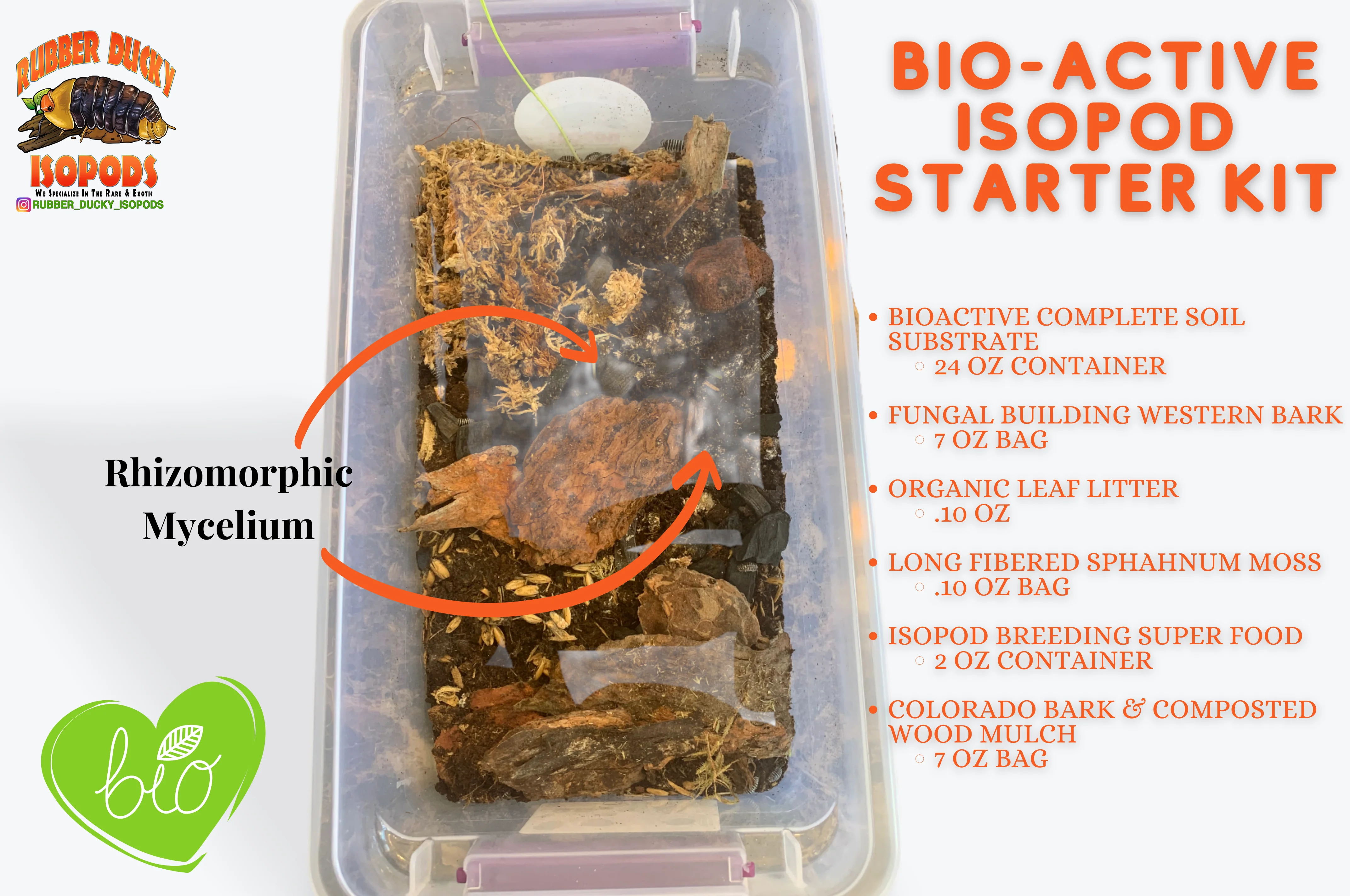 Bio-Active Isopod Soil Starter Kit Complete WITH Your Isopod Choice - Image 4