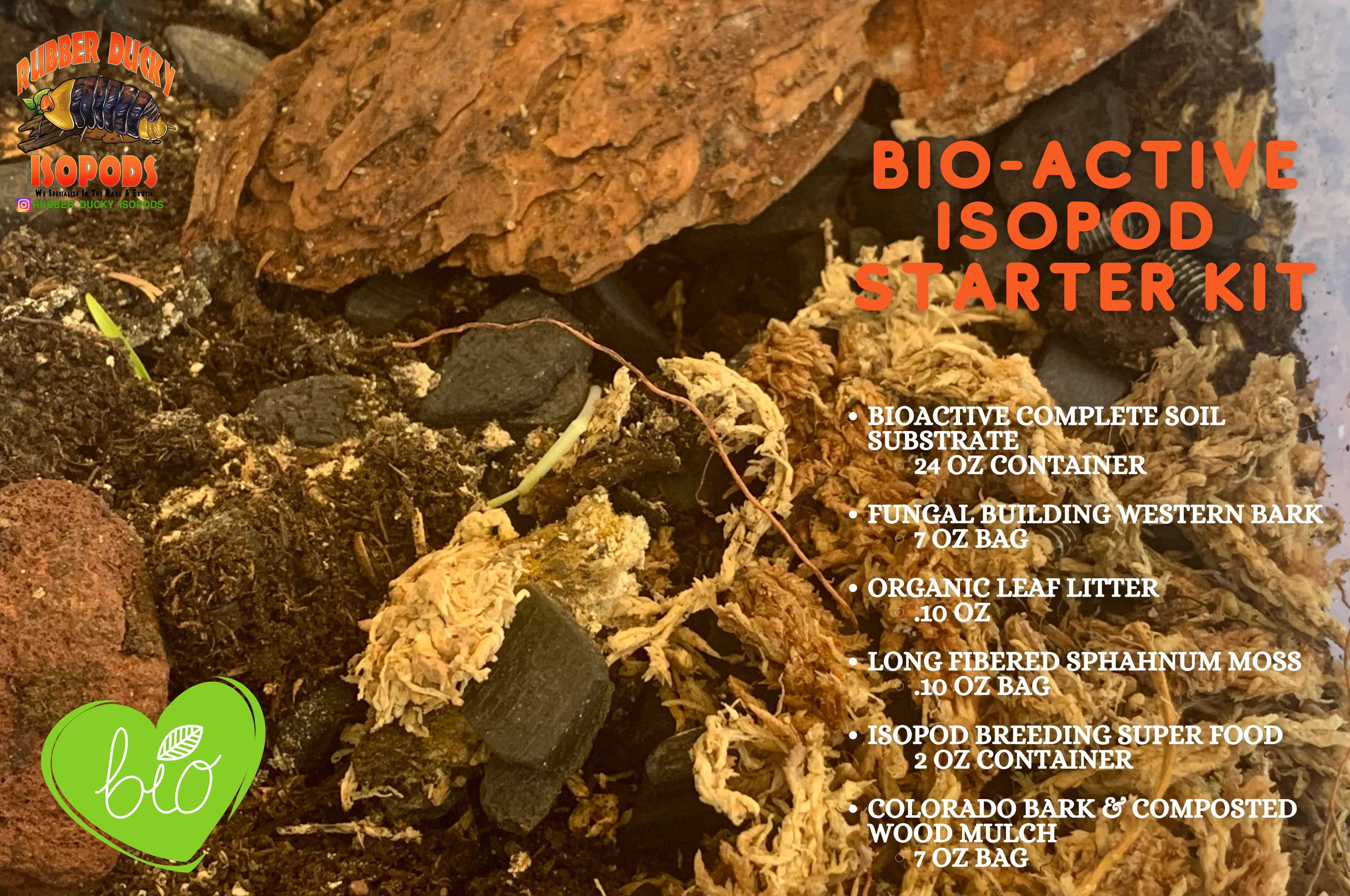 Bio-Active Isopod Soil Starter Kit Complete WITH Your Isopod Choice - Image 5
