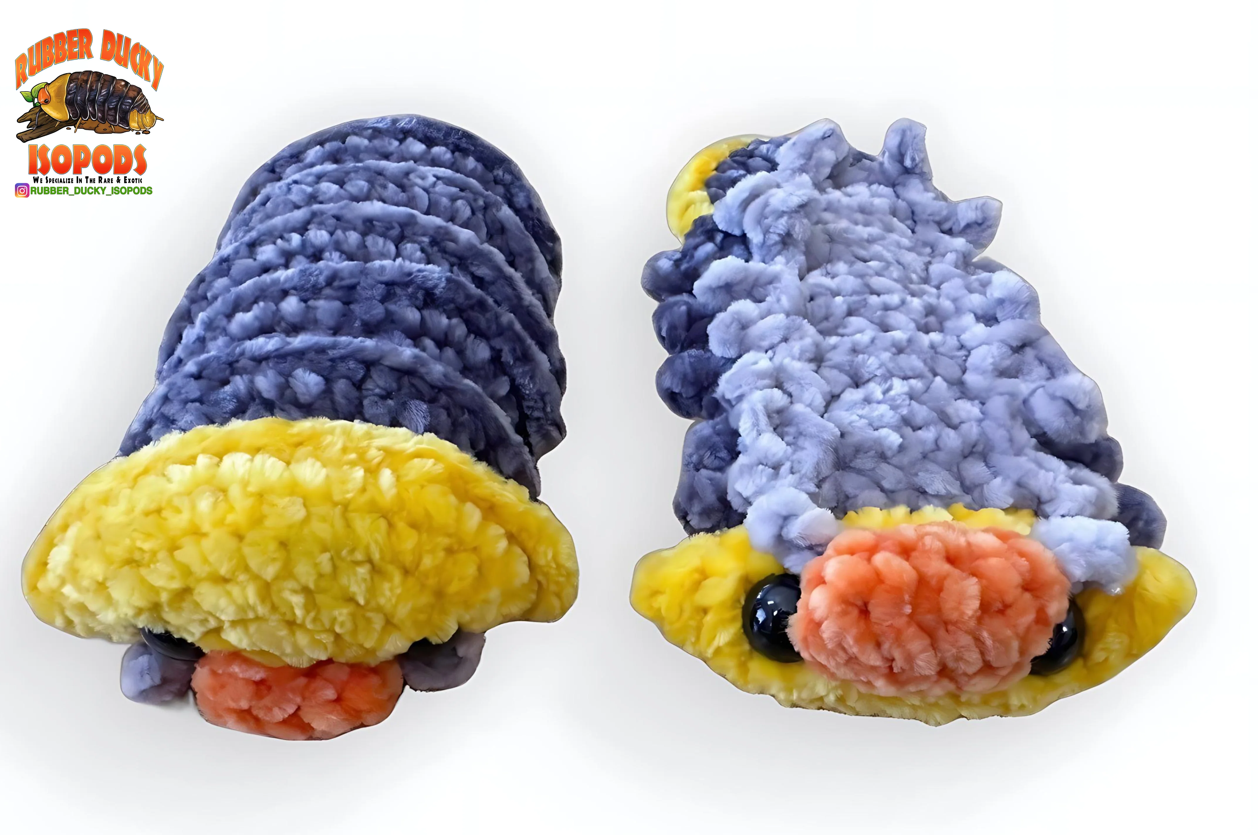 (Limited Edition) Rubber Ducky Isopod Handmade Plushie - Image 2