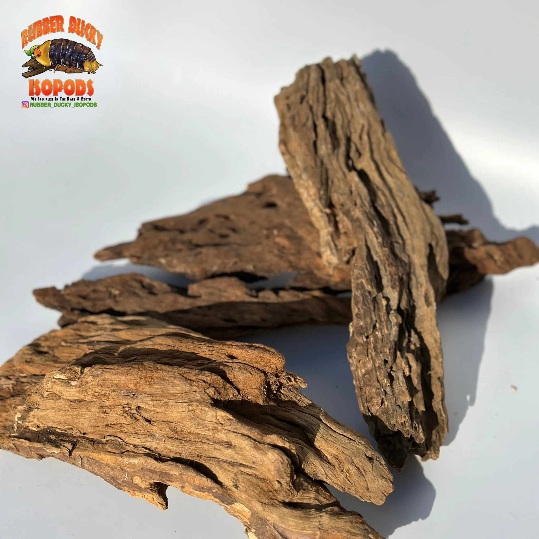 Malaysian Driftwood | Natural Hardwood Decor for Isopods, Reptiles & Terrariums - Image 2