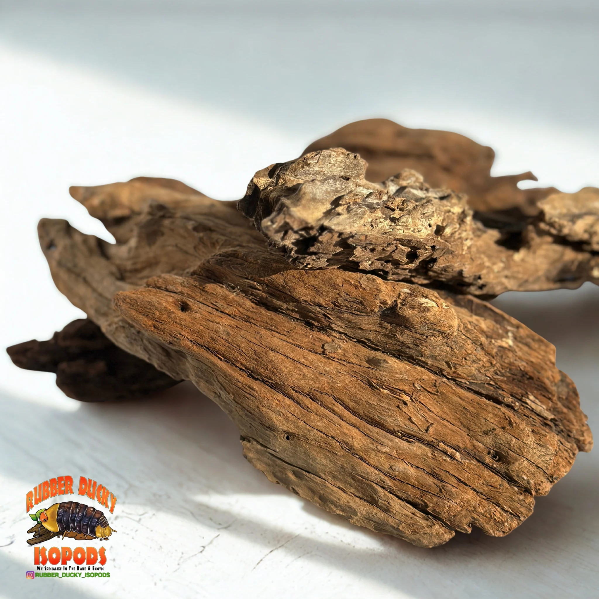 Malaysian Driftwood | Natural Hardwood Decor for Isopods, Reptiles & Terrariums - Image 3