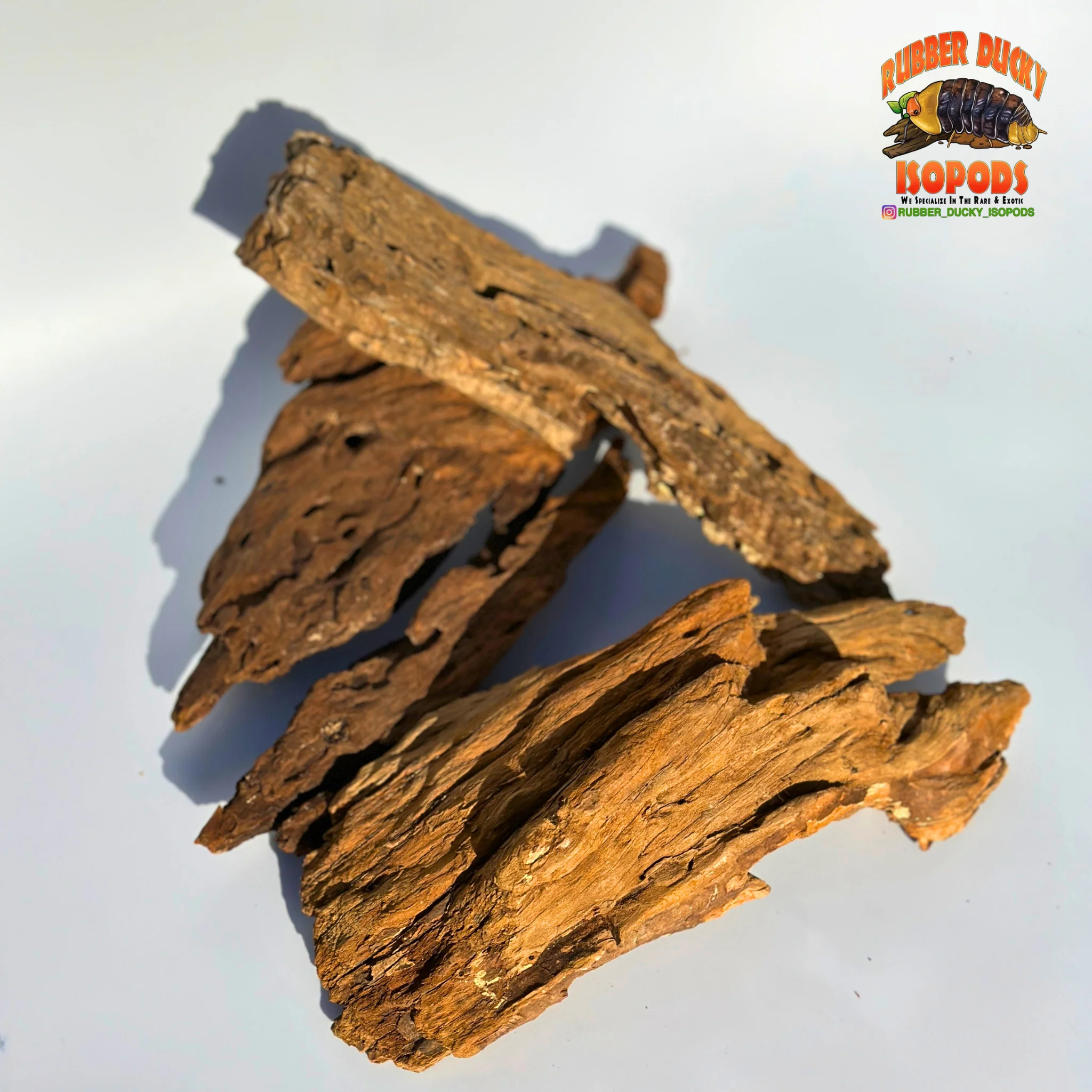 Malaysian Driftwood | Natural Hardwood Decor for Isopods, Reptiles & Terrariums - Image 4