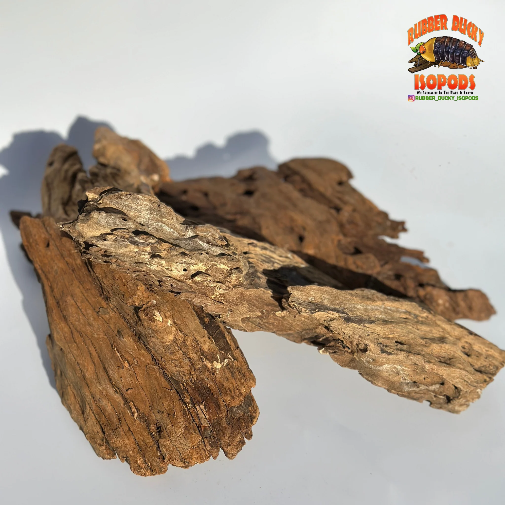 Malaysian Driftwood | Natural Hardwood Decor for Isopods, Reptiles & Terrariums - Image 5