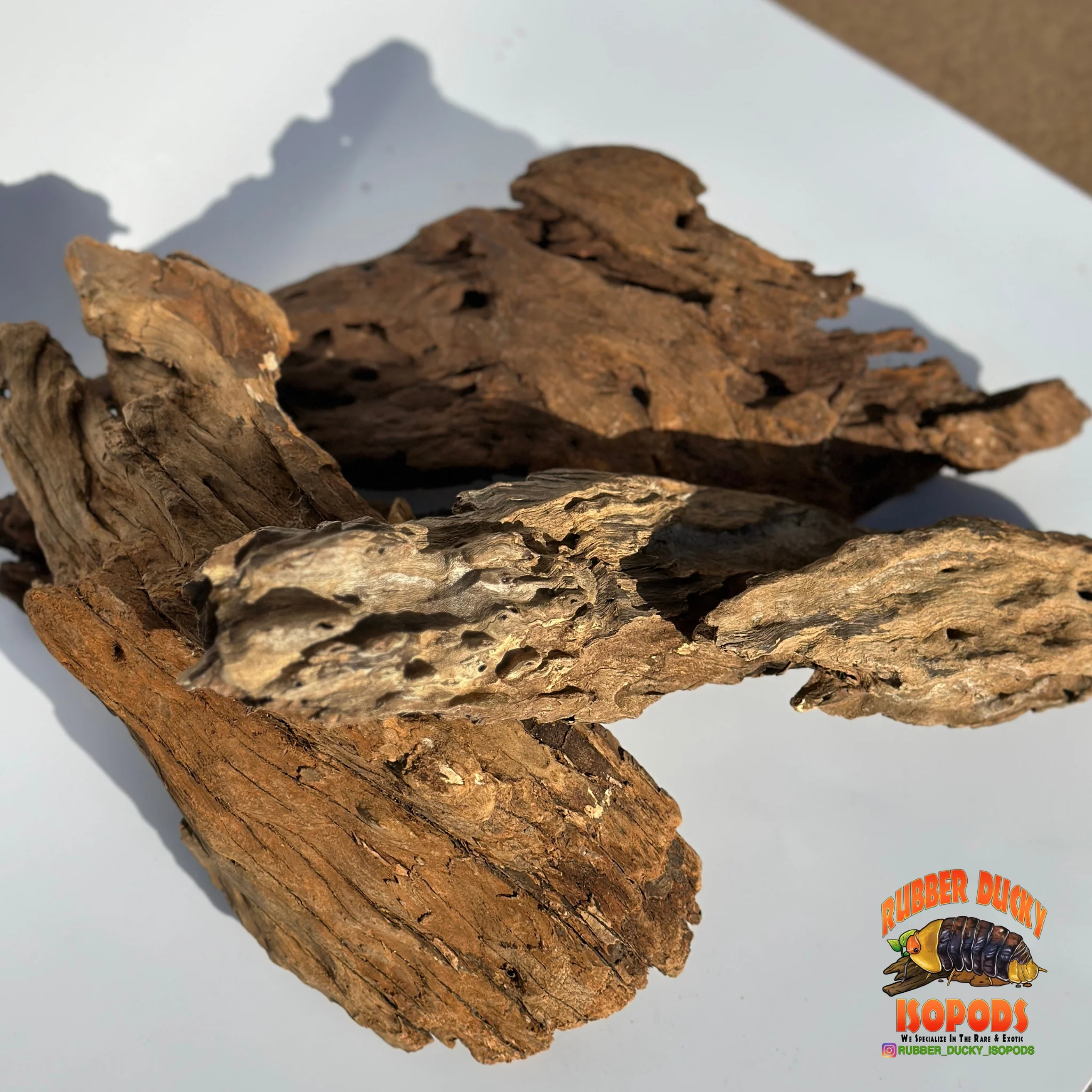 Malaysian Driftwood | Natural Hardwood Decor for Isopods, Reptiles & Terrariums - Image 6