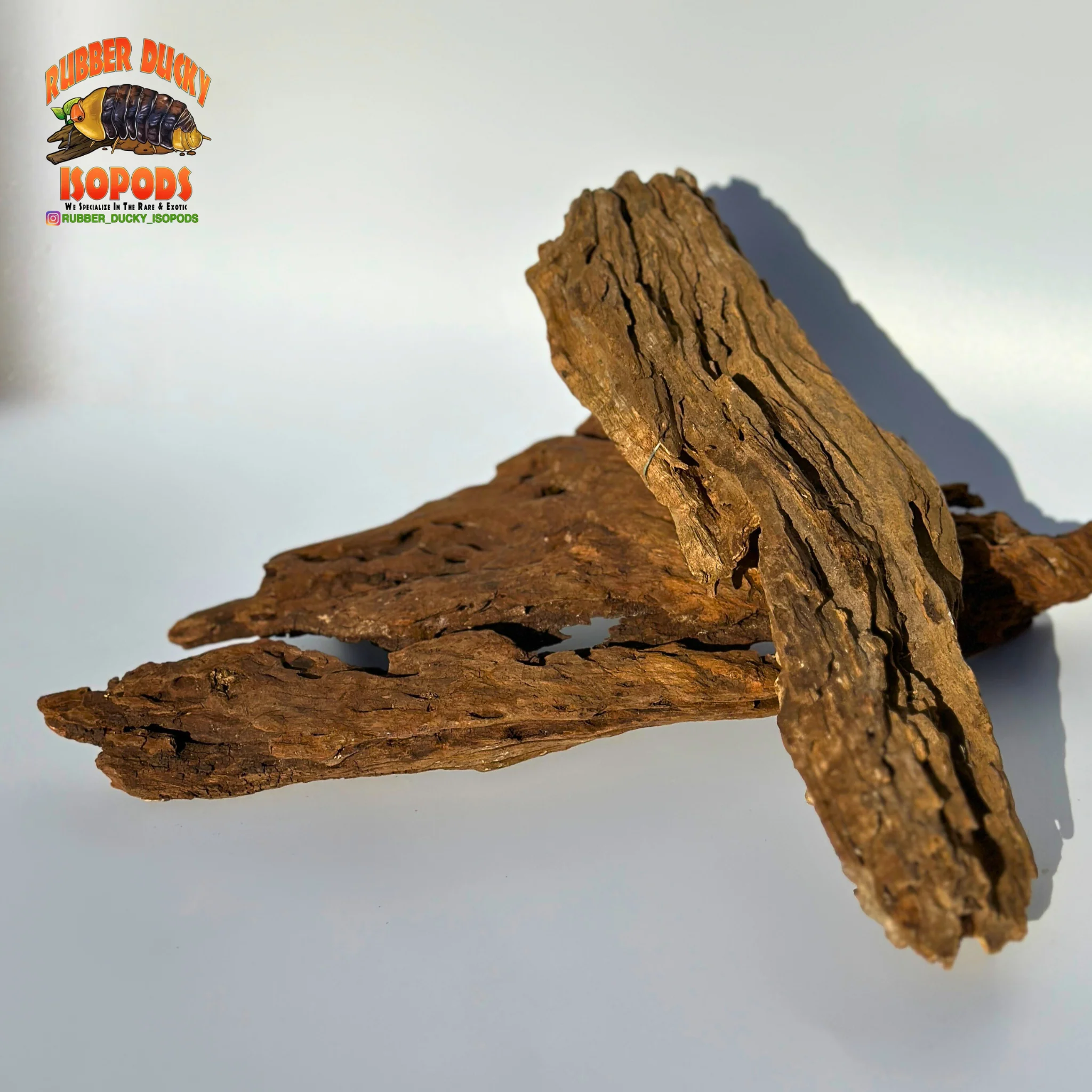 Malaysian Driftwood | Natural Hardwood Decor for Isopods, Reptiles & Terrariums - Image 8