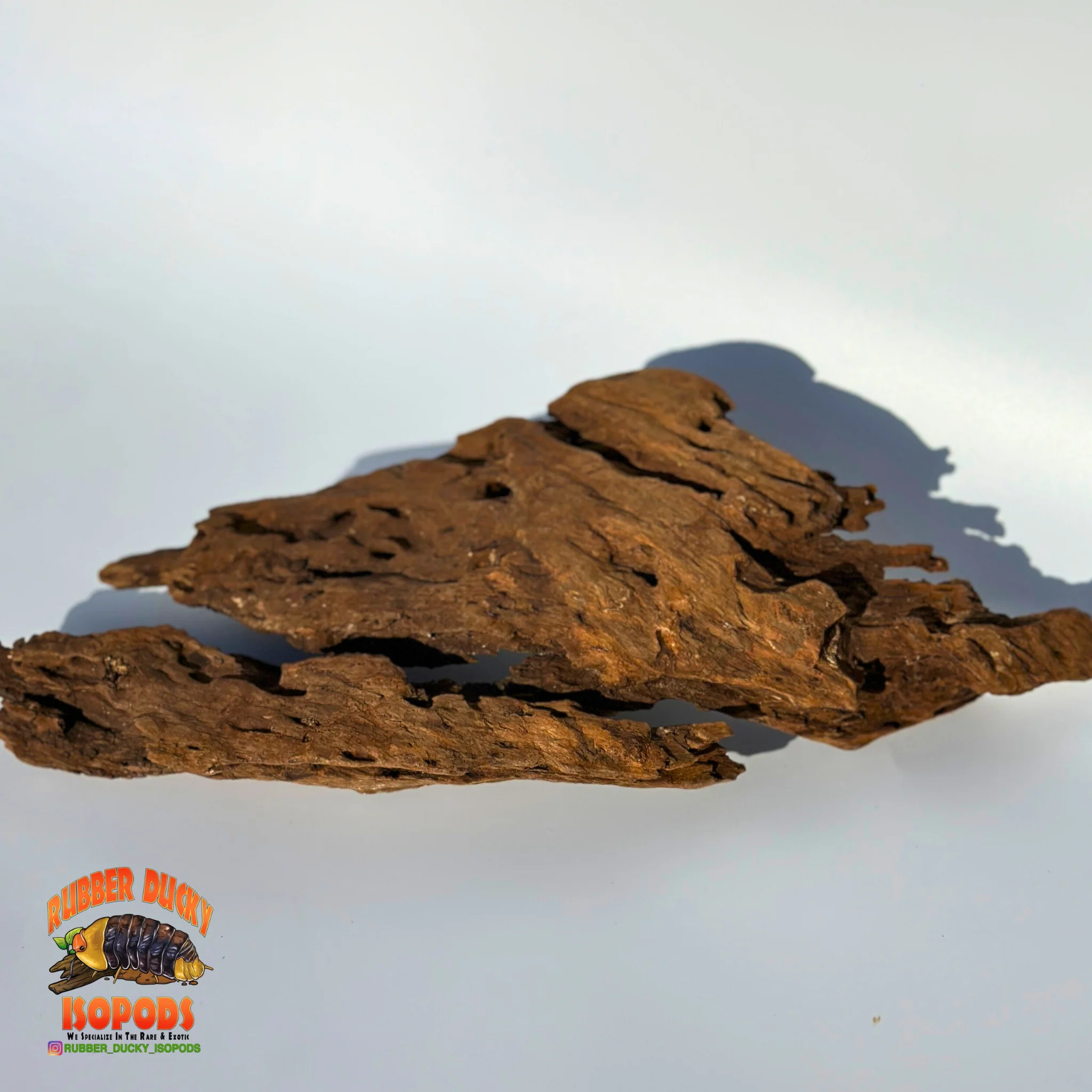 Malaysian Driftwood | Natural Hardwood Decor for Isopods, Reptiles & Terrariums - Image 9