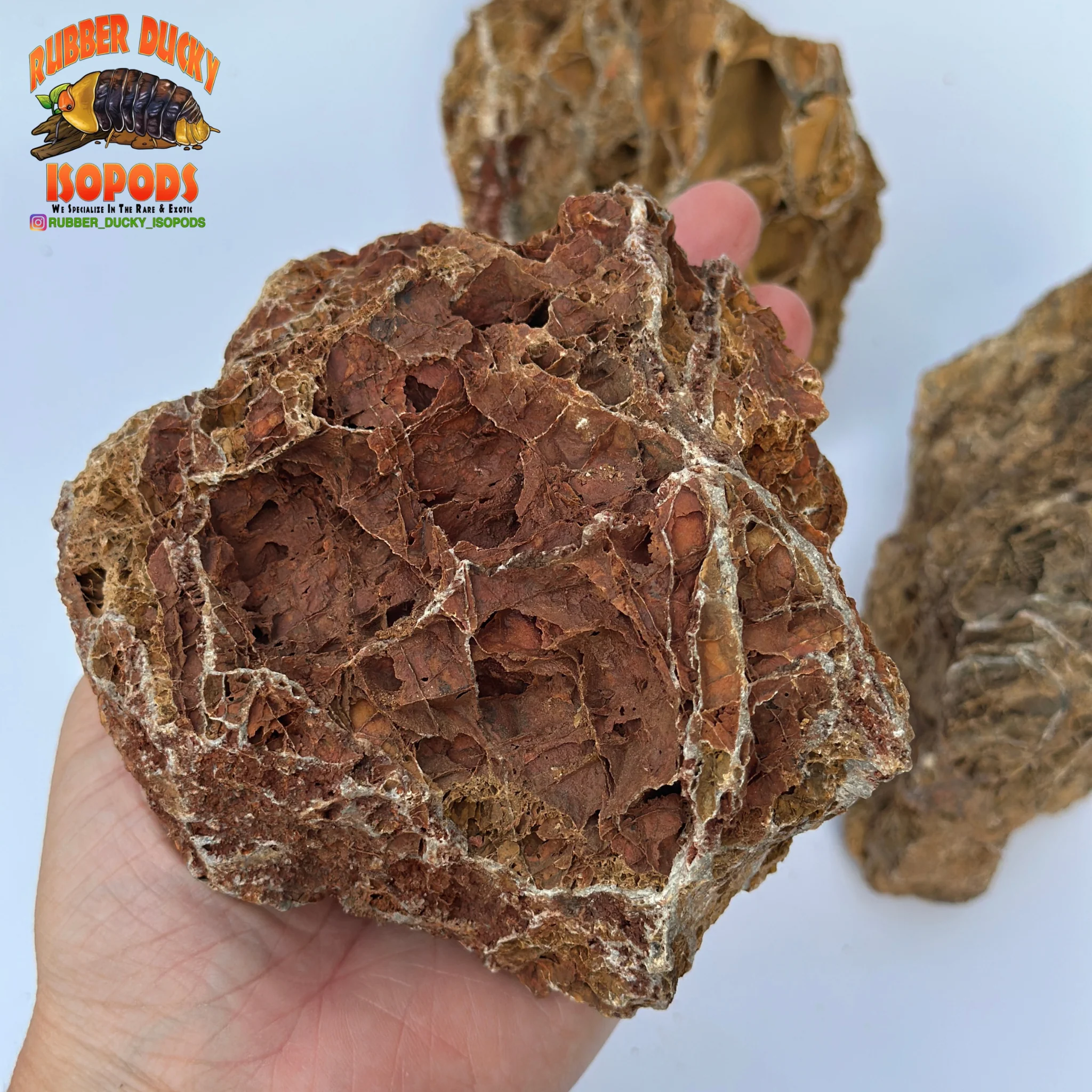 Maple Leaf Stone | Inert Natural Hardscape for Bioactive Terrariums & Aquariums - Image 2