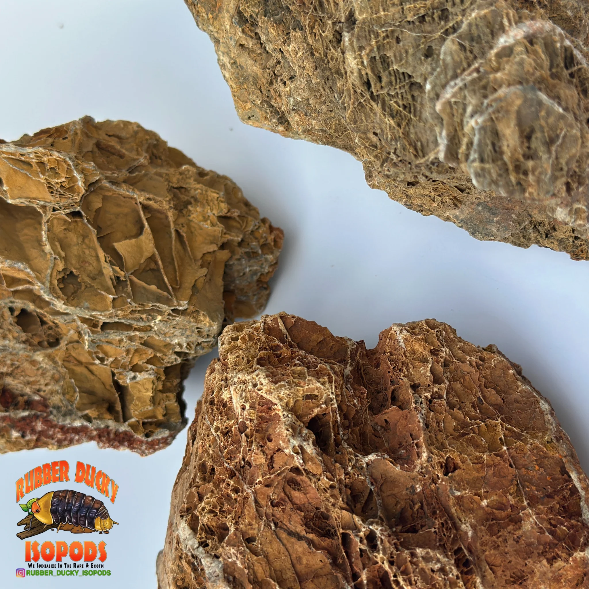 Maple Leaf Stone | Inert Natural Hardscape for Bioactive Terrariums & Aquariums - Image 4