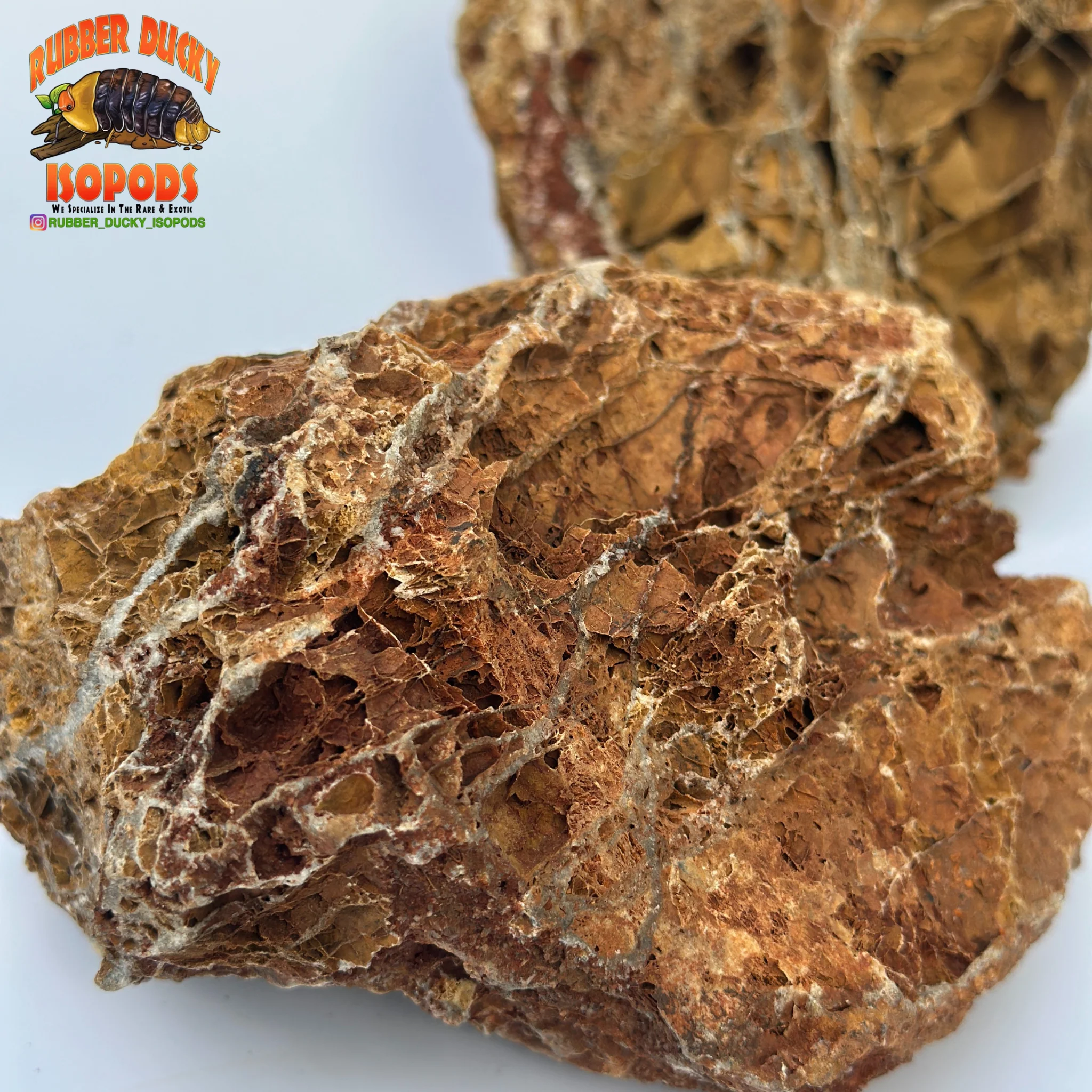 Maple Leaf Stone | Inert Natural Hardscape for Bioactive Terrariums & Aquariums - Image 7