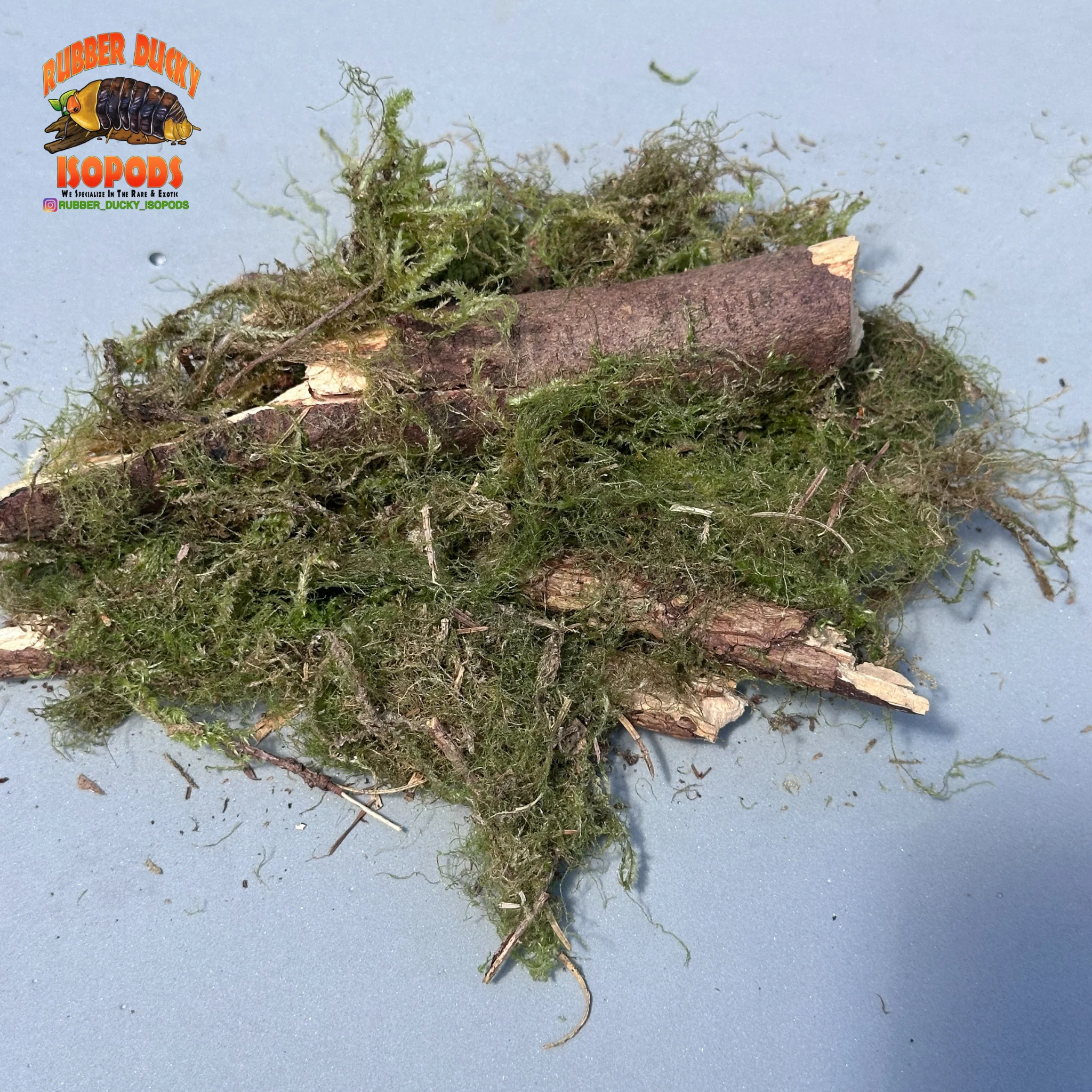 Mossy Sticks — Natural Decor Meets Organic Snack - Image 5
