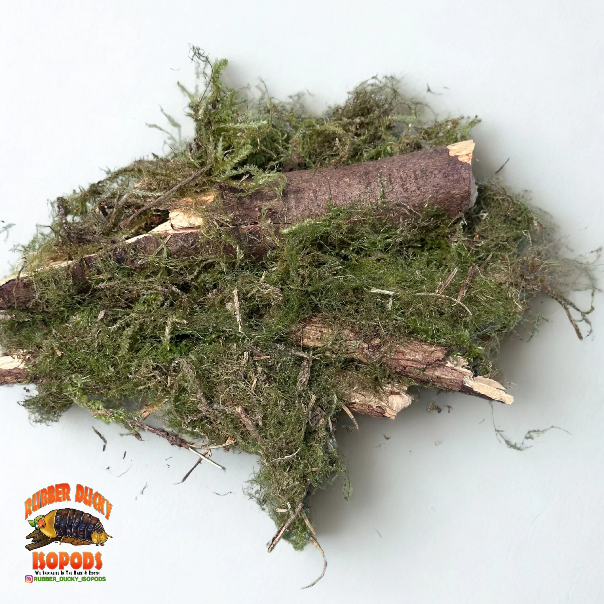 Mossy Sticks — Natural Decor Meets Organic Snack - Image 6