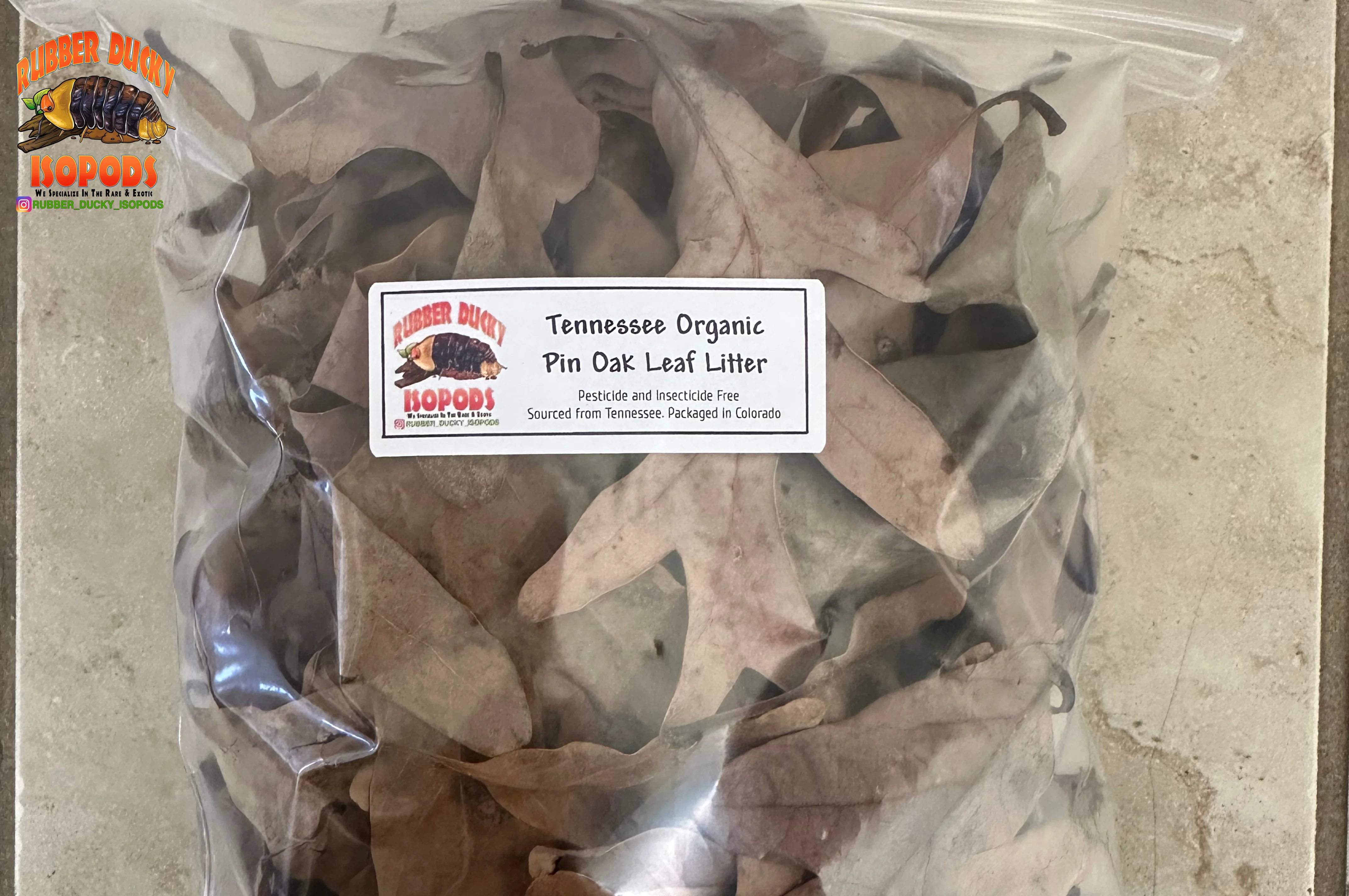 Pin Oak Organic Leaf Litter (Tennessee Mountains Elevation 5,512) - Image 3
