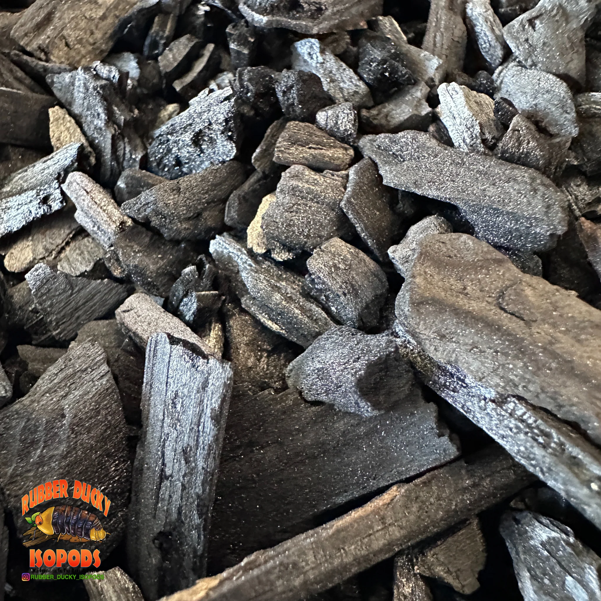 Springtail Biochar (Bamboo-Based) – Premium Springtail Charcoal & Soil Booster - Image 3