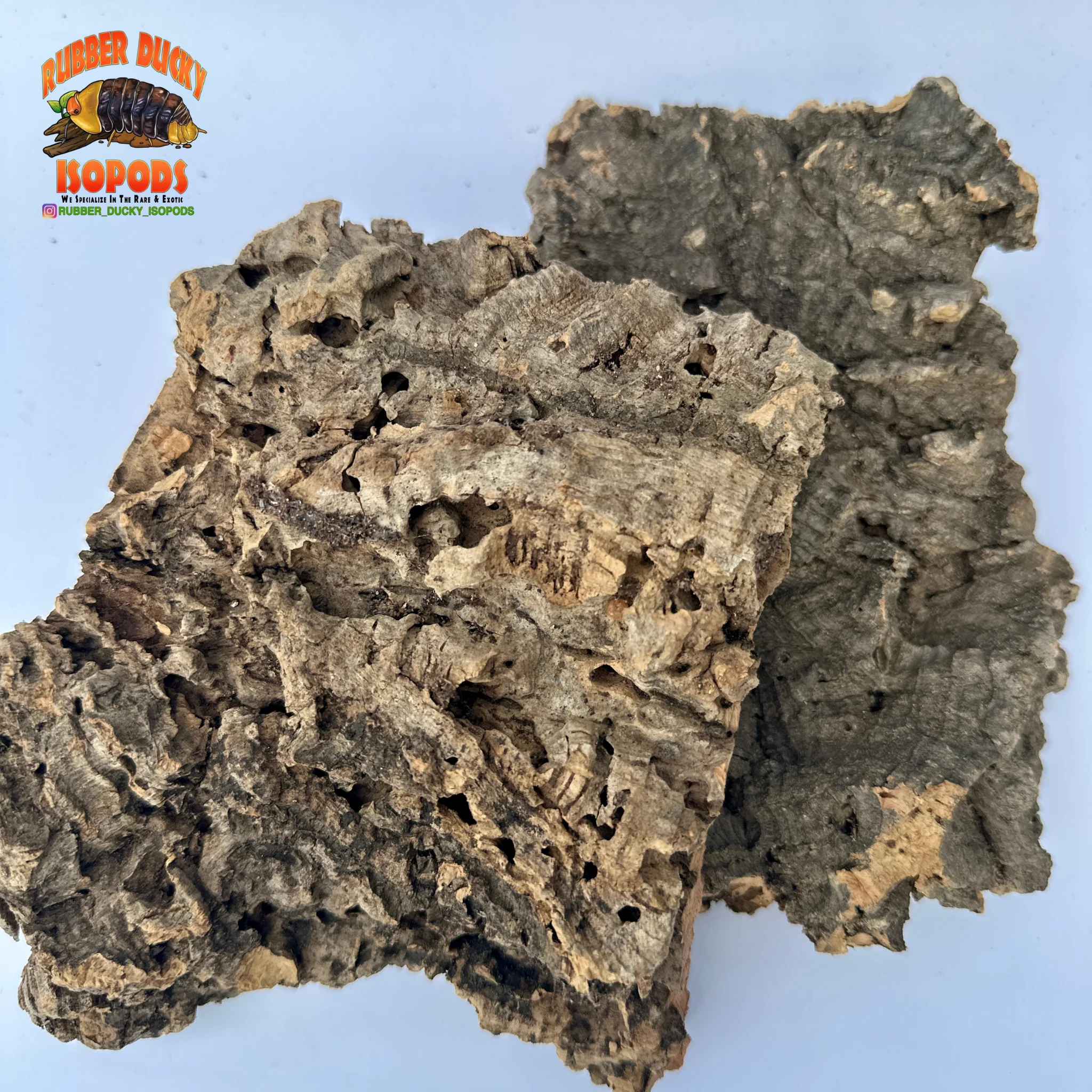 Virgin Cork Bark Flats – Natural Isopod Hide & Bioactive Decor - Image 2