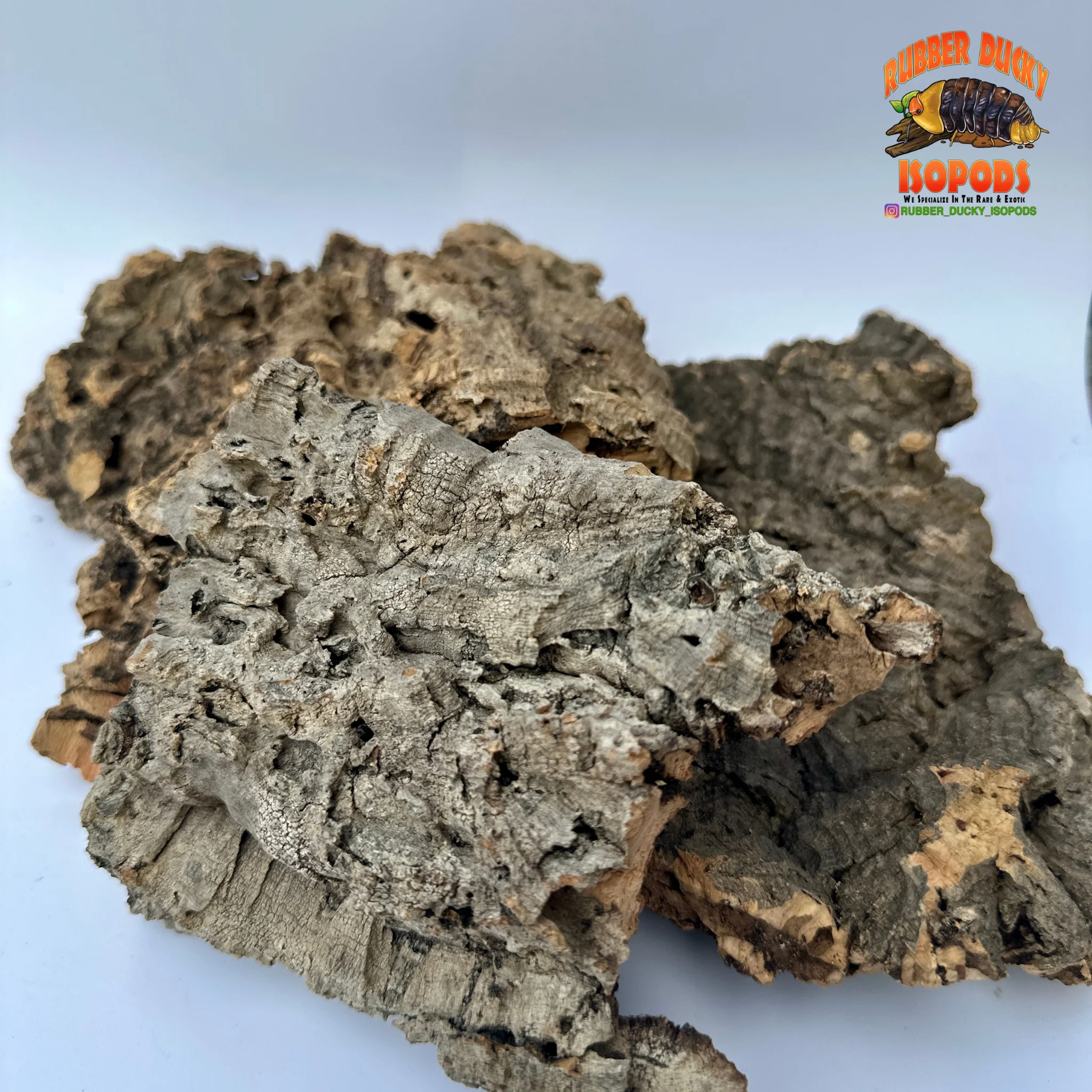 Virgin Cork Bark Flats – Natural Isopod Hide & Bioactive Decor - Image 3