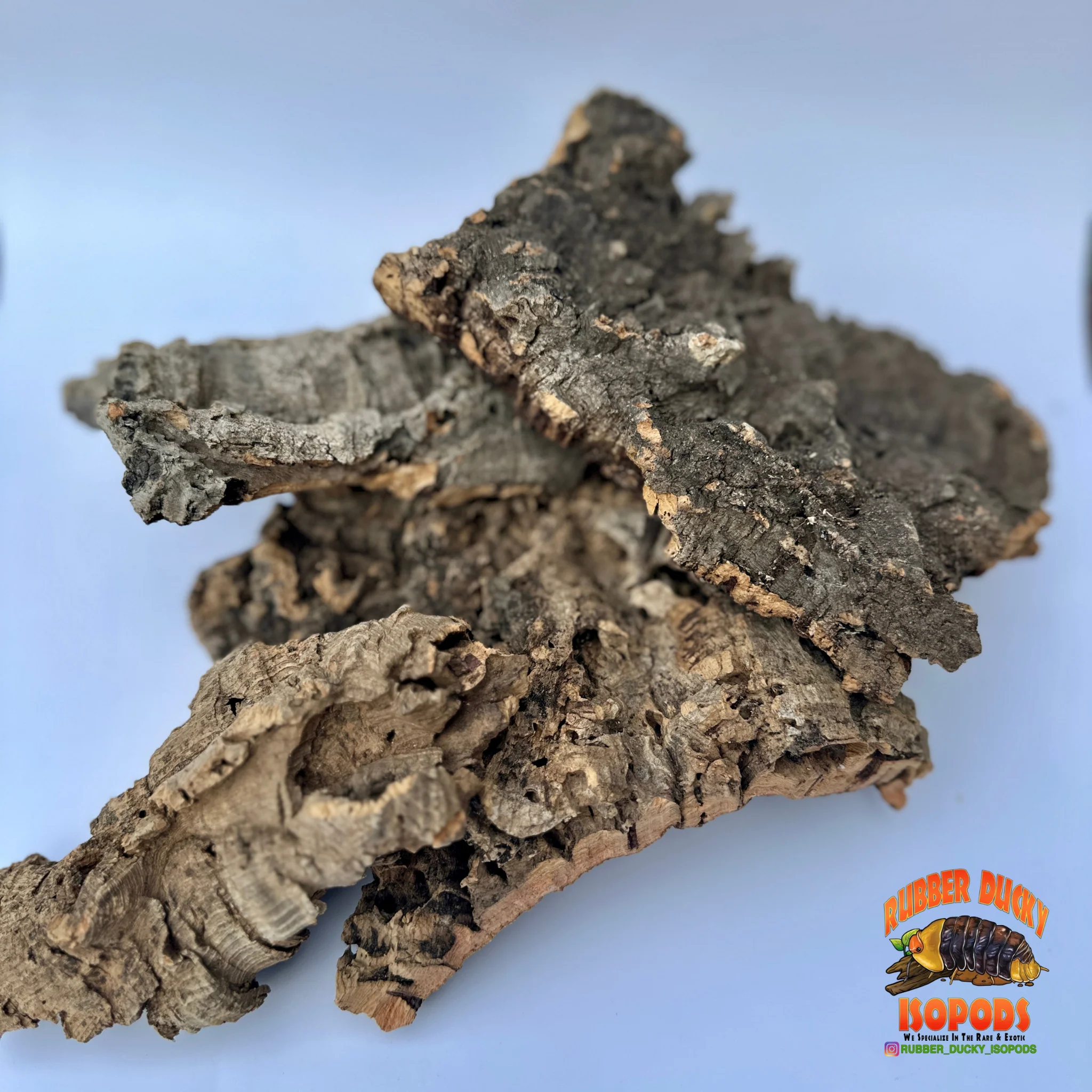 Virgin Cork Bark Flats – Natural Isopod Hide & Bioactive Decor - Image 4