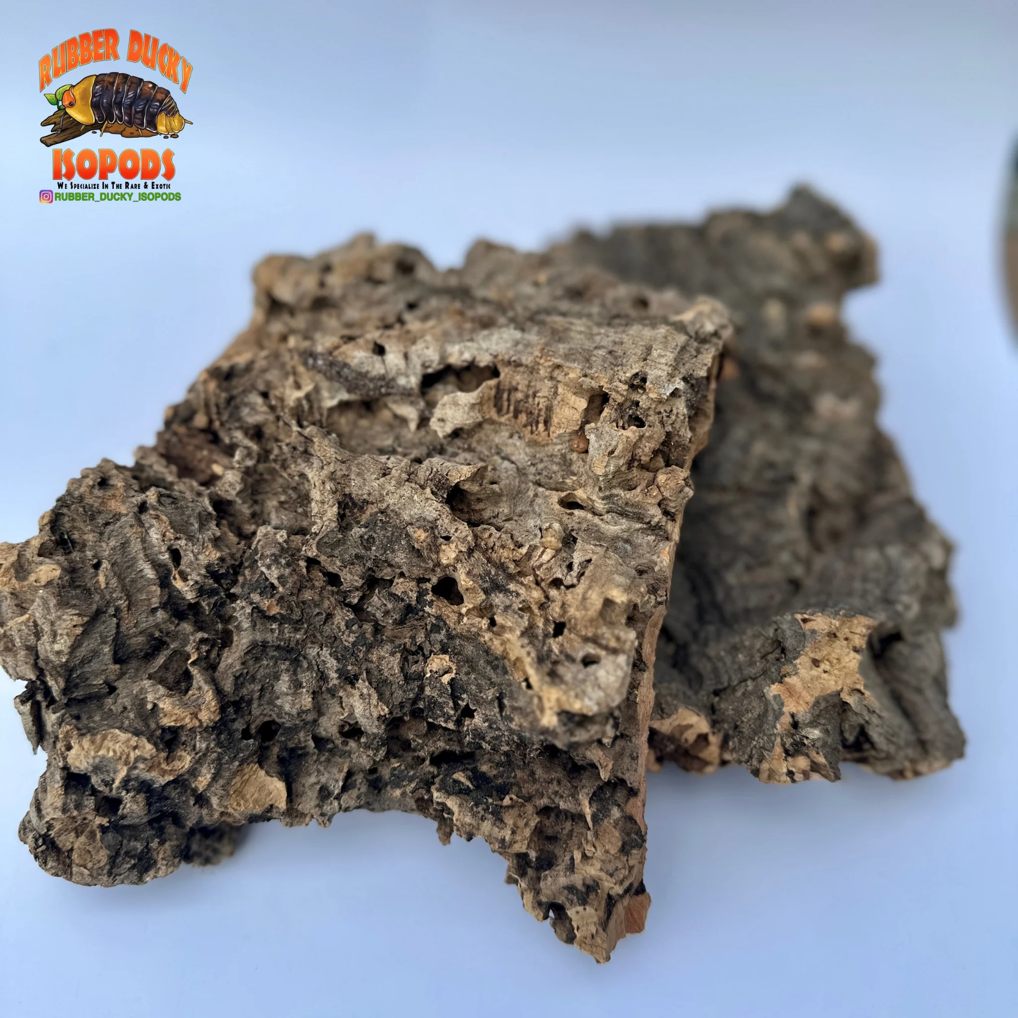 Virgin Cork Bark Flats – Natural Isopod Hide & Bioactive Decor - Image 5