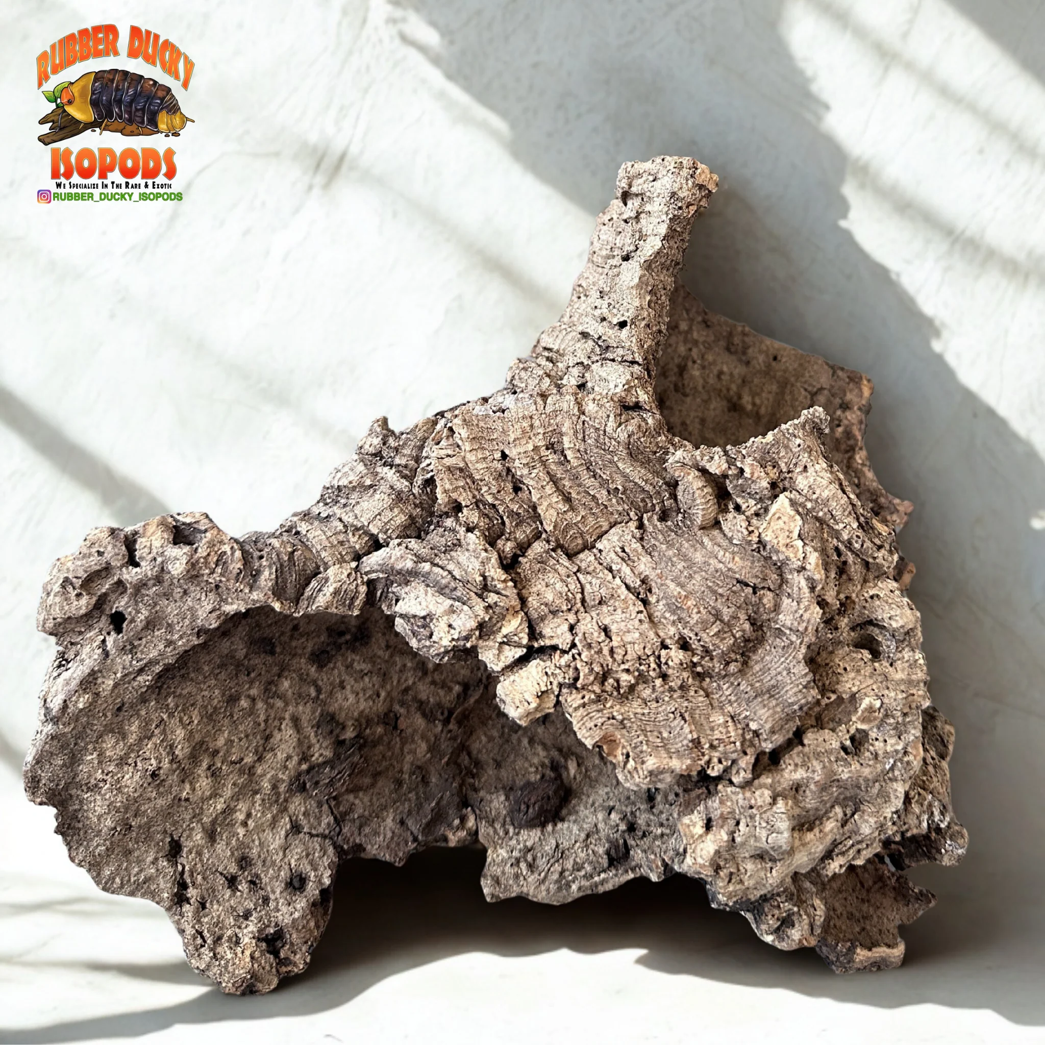 Virgin Cork Bark - Medium Rounds - Isopod & Reptile Hides | Bioactive Decor - Image 3