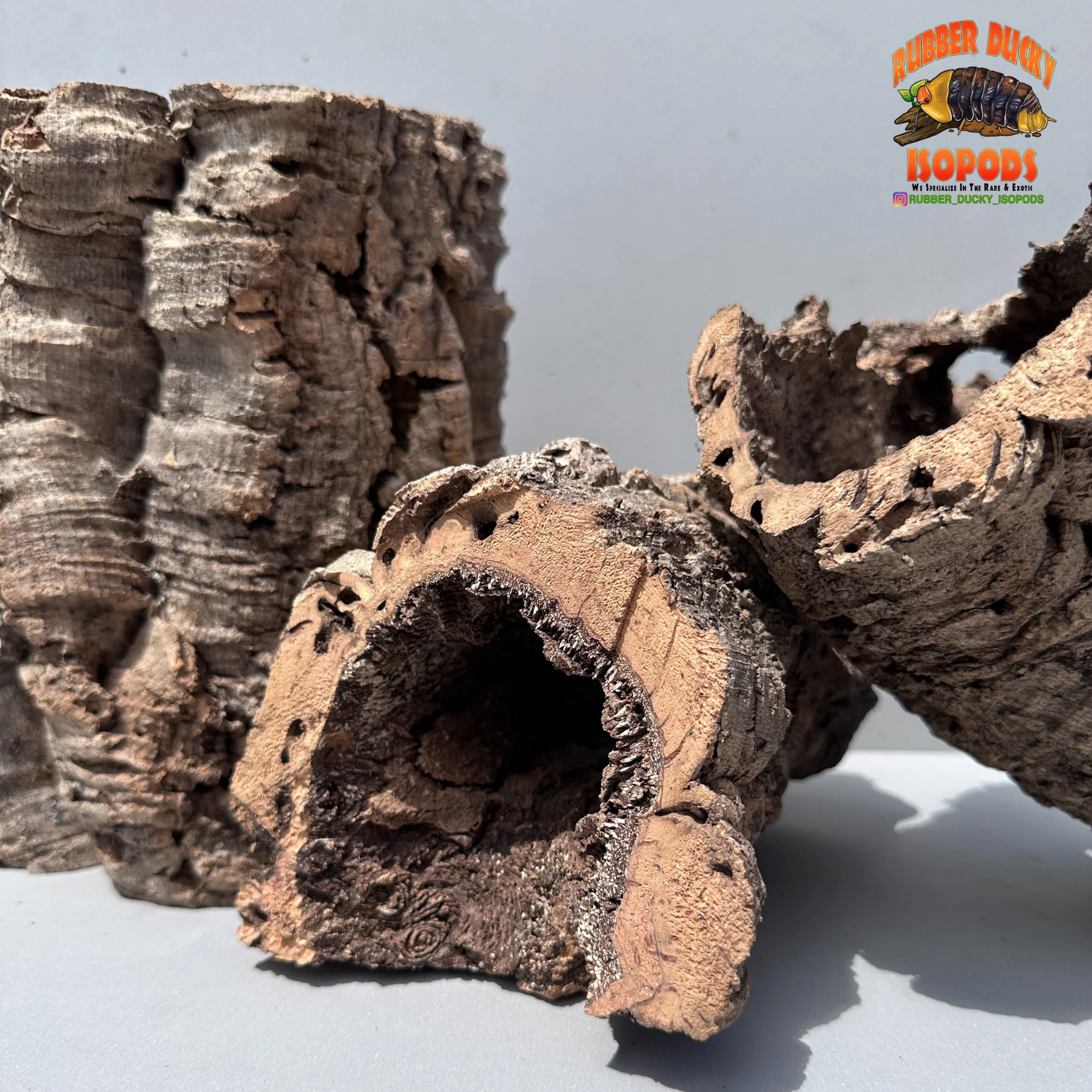 Virgin Cork Bark - Medium Rounds - Isopod & Reptile Hides | Bioactive Decor - Image 4