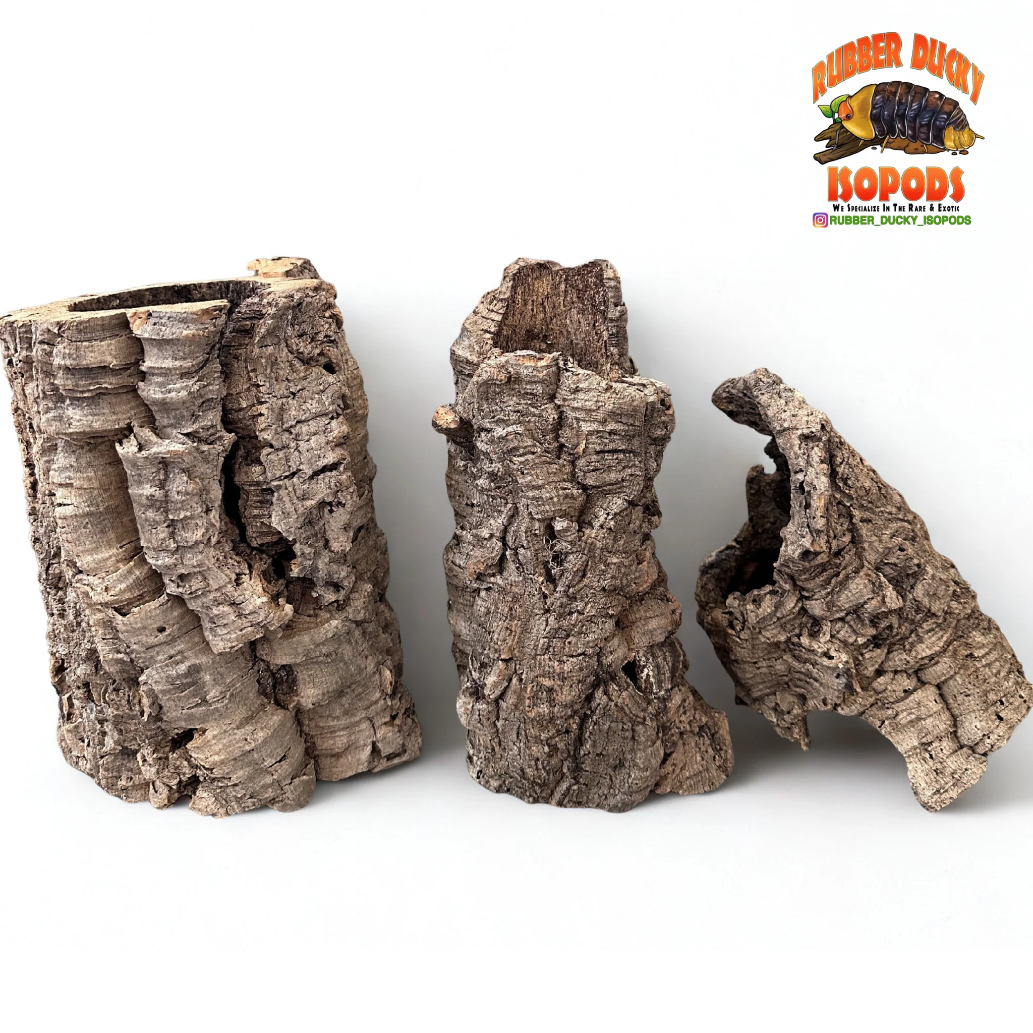 Virgin Cork Bark - Medium Rounds - Isopod & Reptile Hides | Bioactive Decor - Image 5